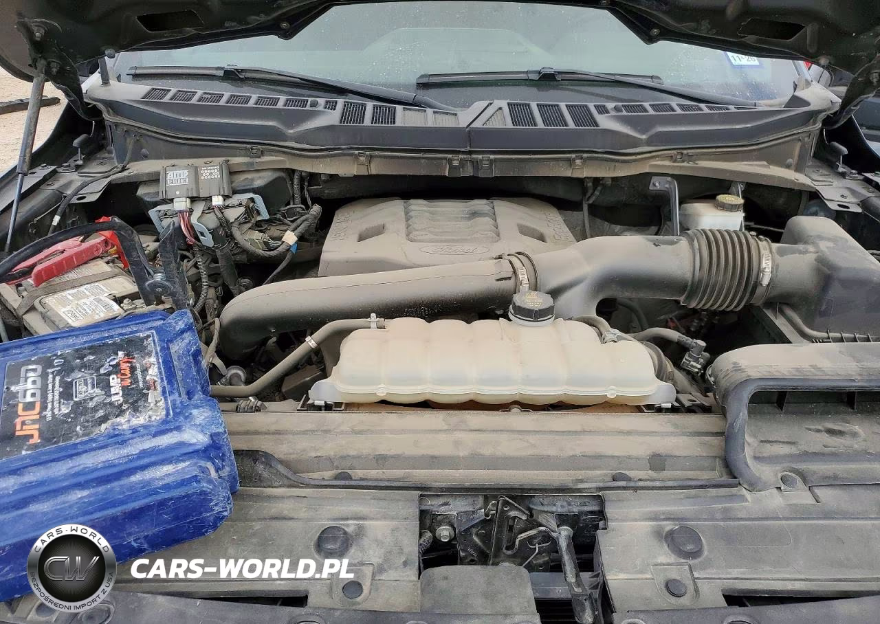 2023 Ford F150 VIN:1FTFW1E89PFC48669 - 11