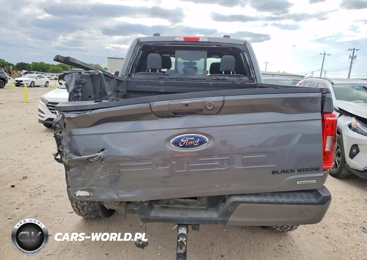 2023 Ford F150 VIN:1FTFW1E89PFC48669 - 6