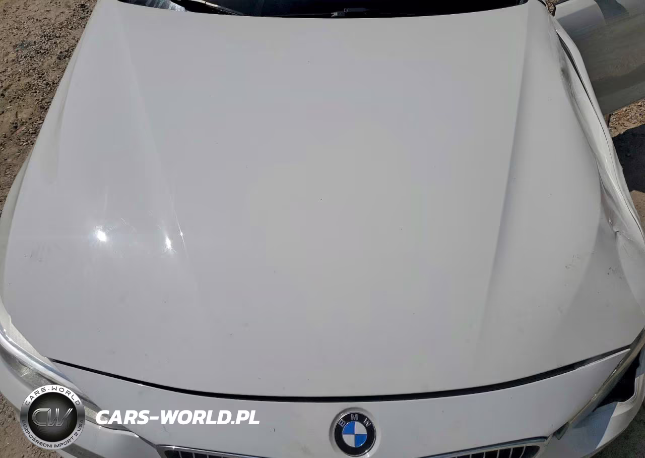 2015 BMW 435 I VIN:WBA3T3C5XFP738687 - 11