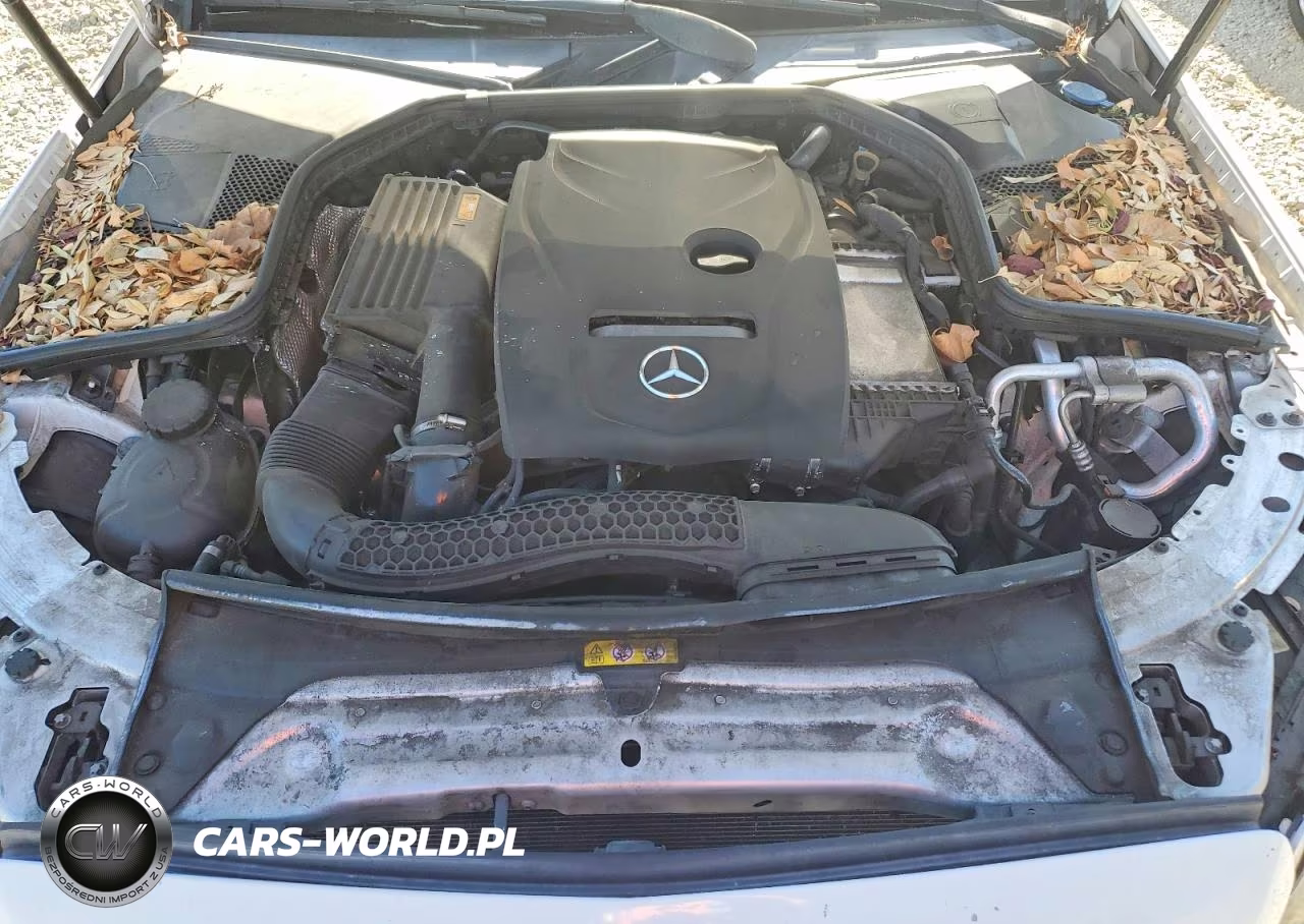 2018 Mercedes-Benz C 300 VIN:55SWF4JBXJU236561 - 11