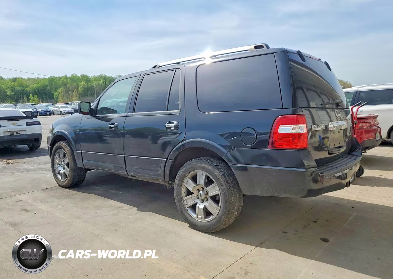 2010 Ford Expedition Limited VIN:1FMJU2A59AEB62062 - 2