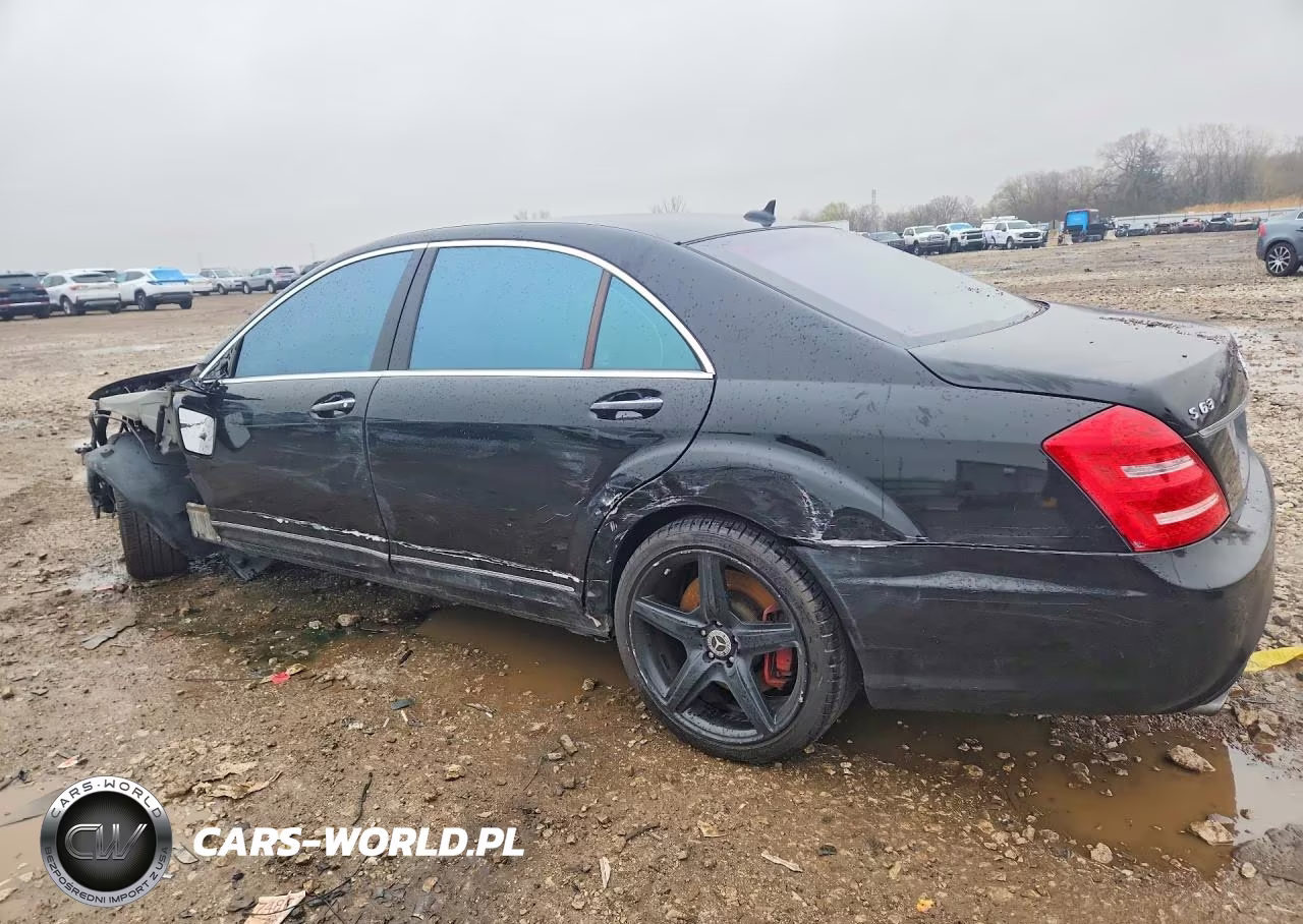 2010 Mercedes-Benz S 63 Amg VIN:WDDNG7HB8AA309698 - 2