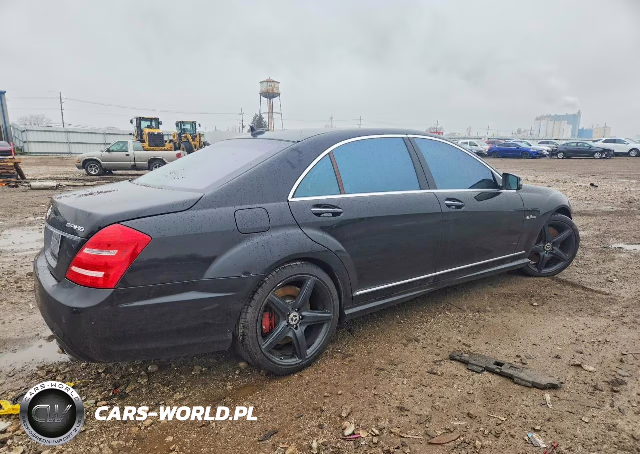 2010 Mercedes-Benz S 63 Amg VIN:WDDNG7HB8AA309698 - 3