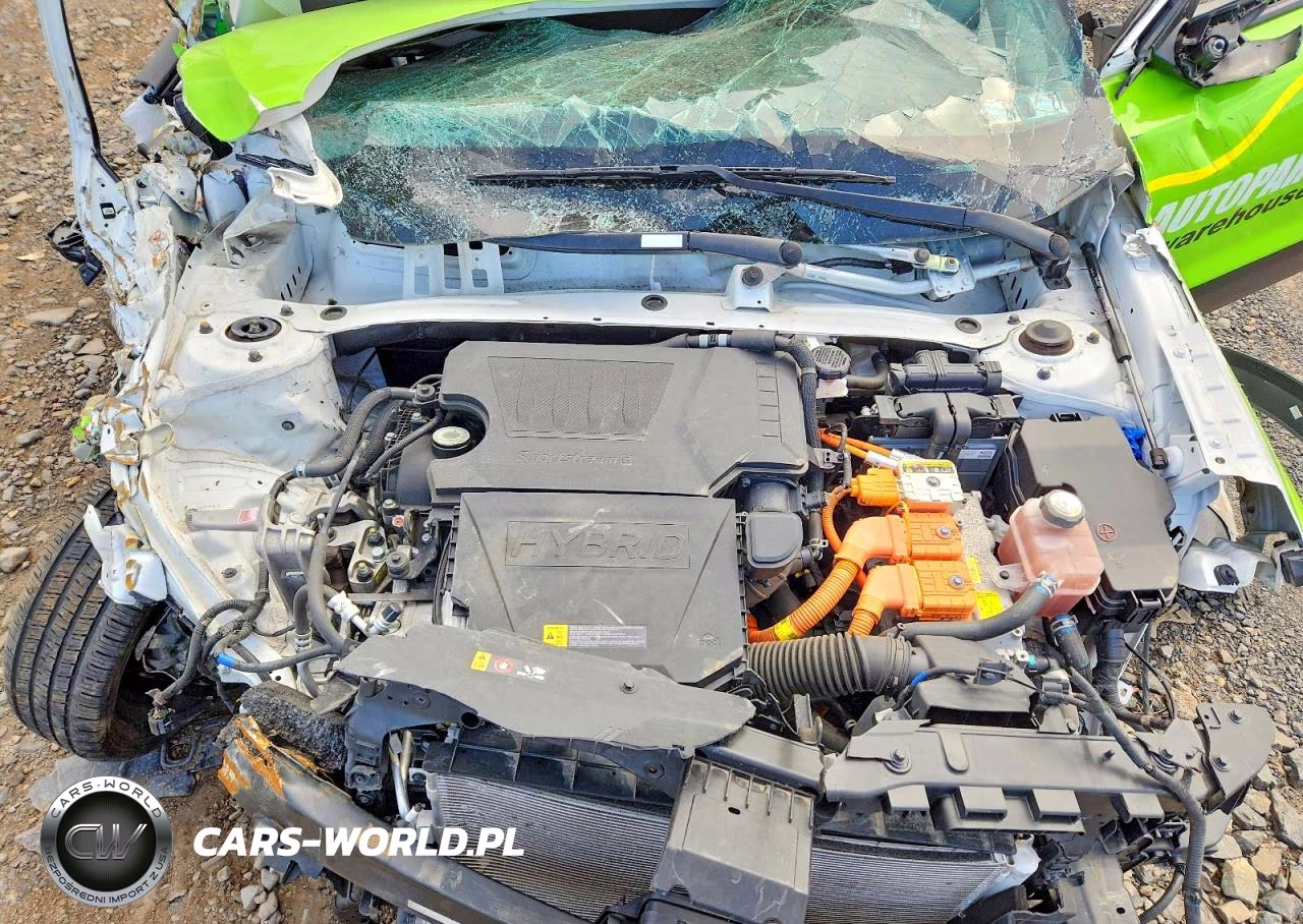 2024 Kia Niro Lx VIN:KNDCP3LEXR5189404 - 12