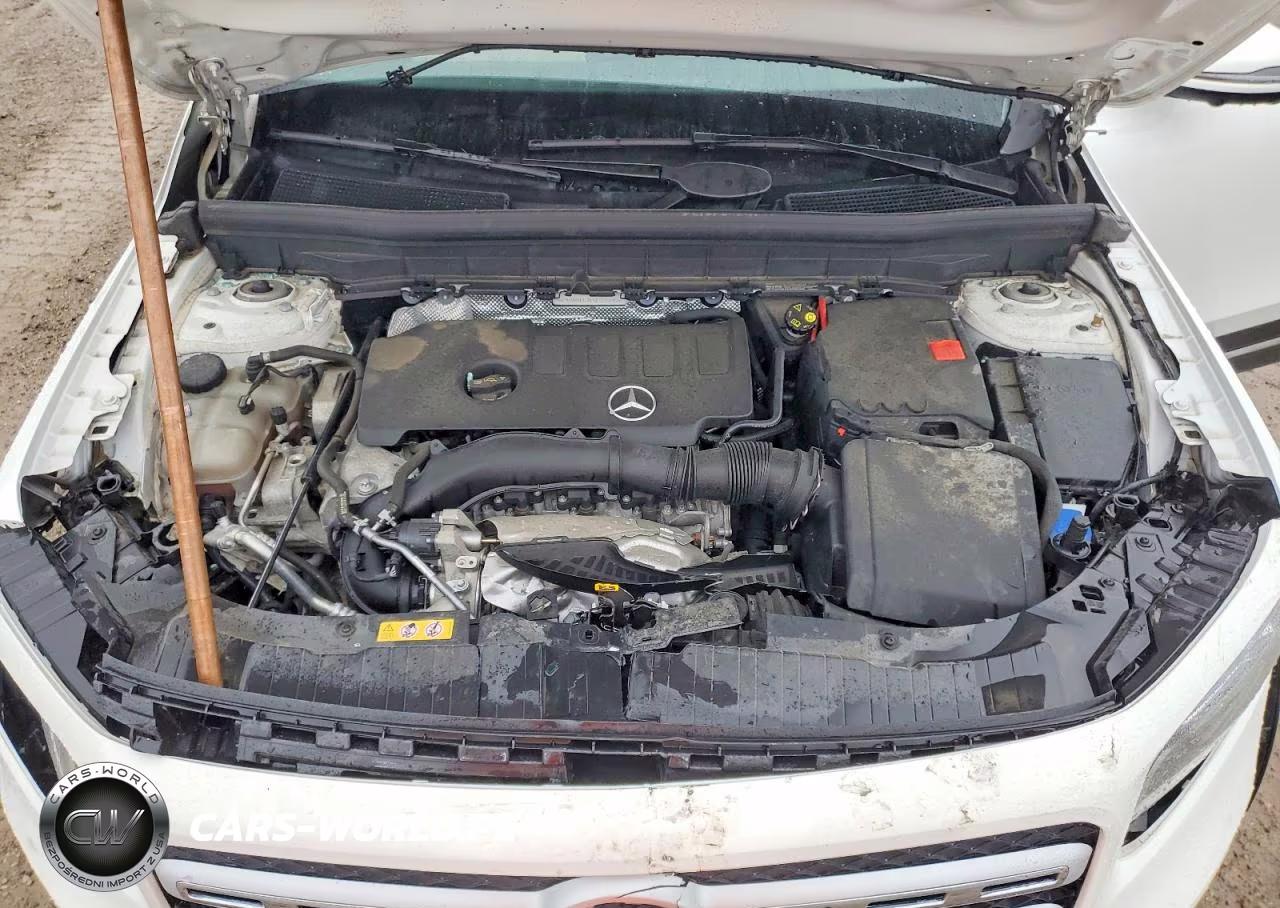 2023 Mercedes-Benz Glb 250 4Matic VIN:W1N4M4HBXPW313995 - 12