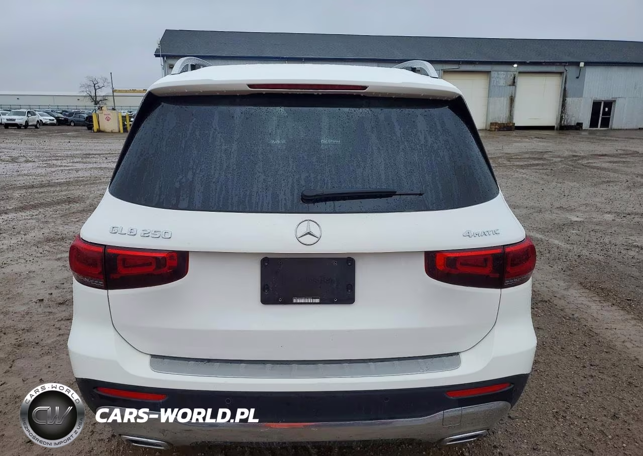 2023 Mercedes-Benz Glb 250 4Matic VIN:W1N4M4HBXPW313995 - 6