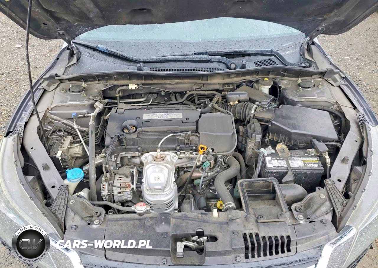 2014 Honda Accord Lx VIN:1HGCR2F33EA116540 - 11