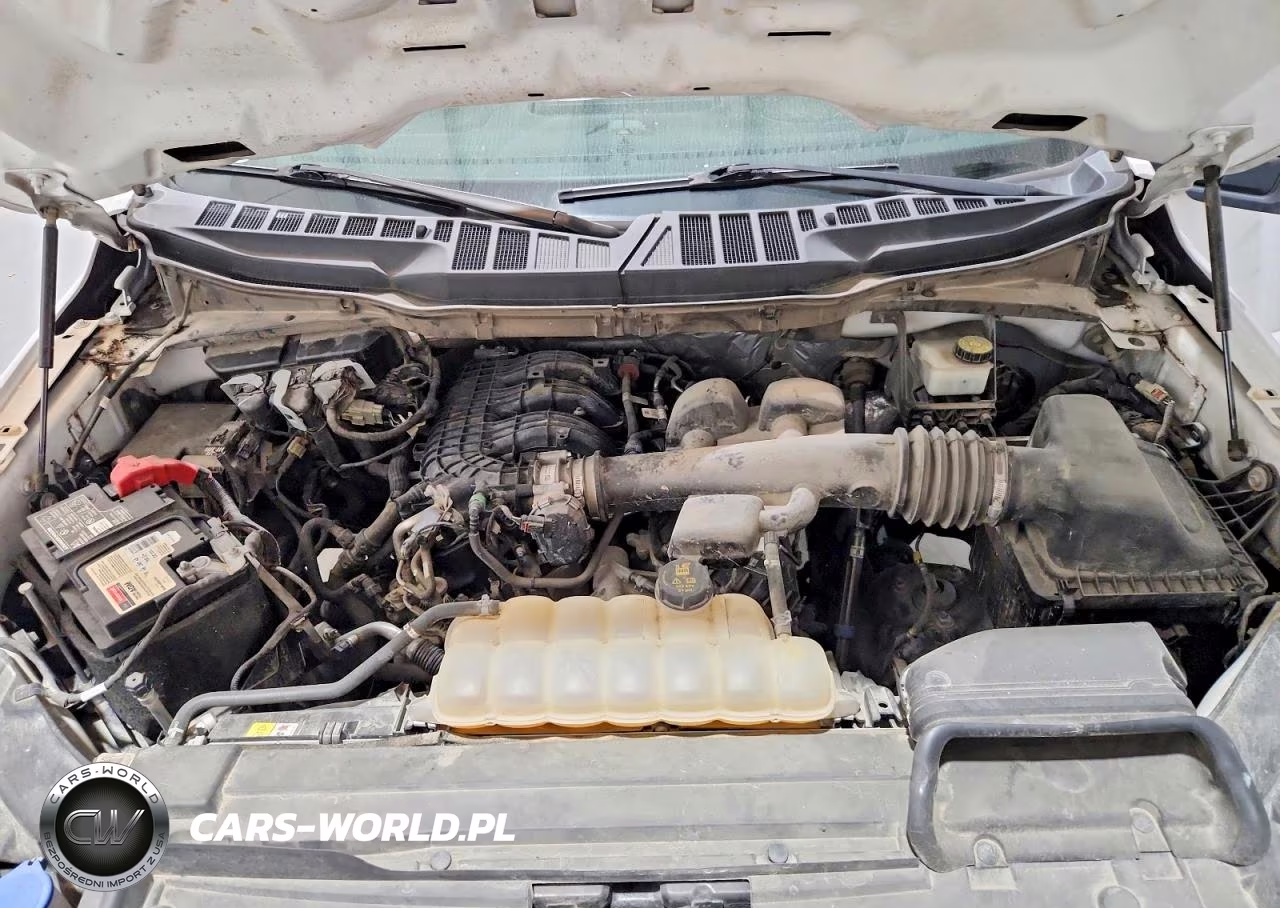 2021 Ford F150 VIN:1FTMF1CB9MKD02447 - 11