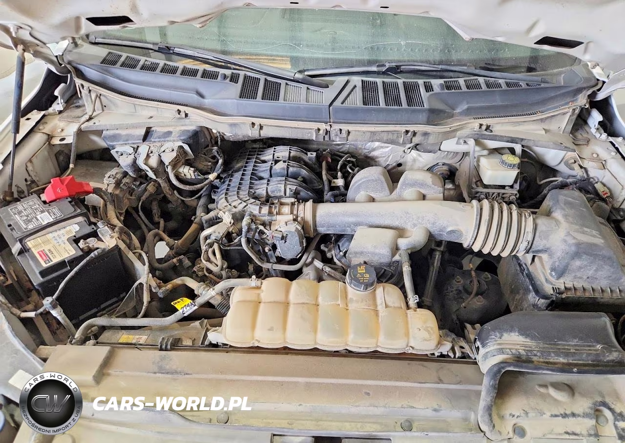2021 Ford F150 VIN:1FTMF1CB7MKD02446 - 11
