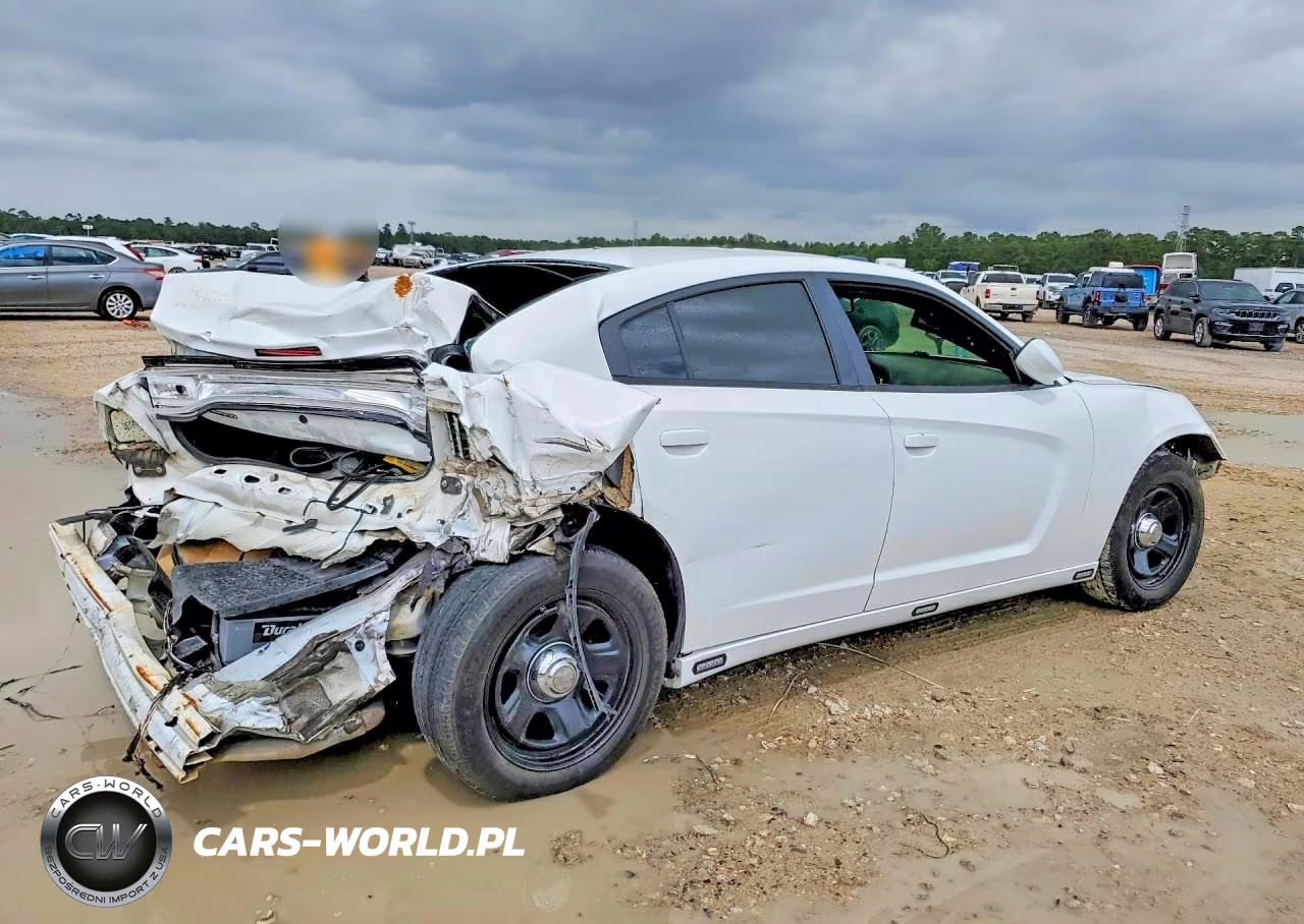 2013 Dodge Charger Police VIN:2C3CDXAG4DH742624 - 3