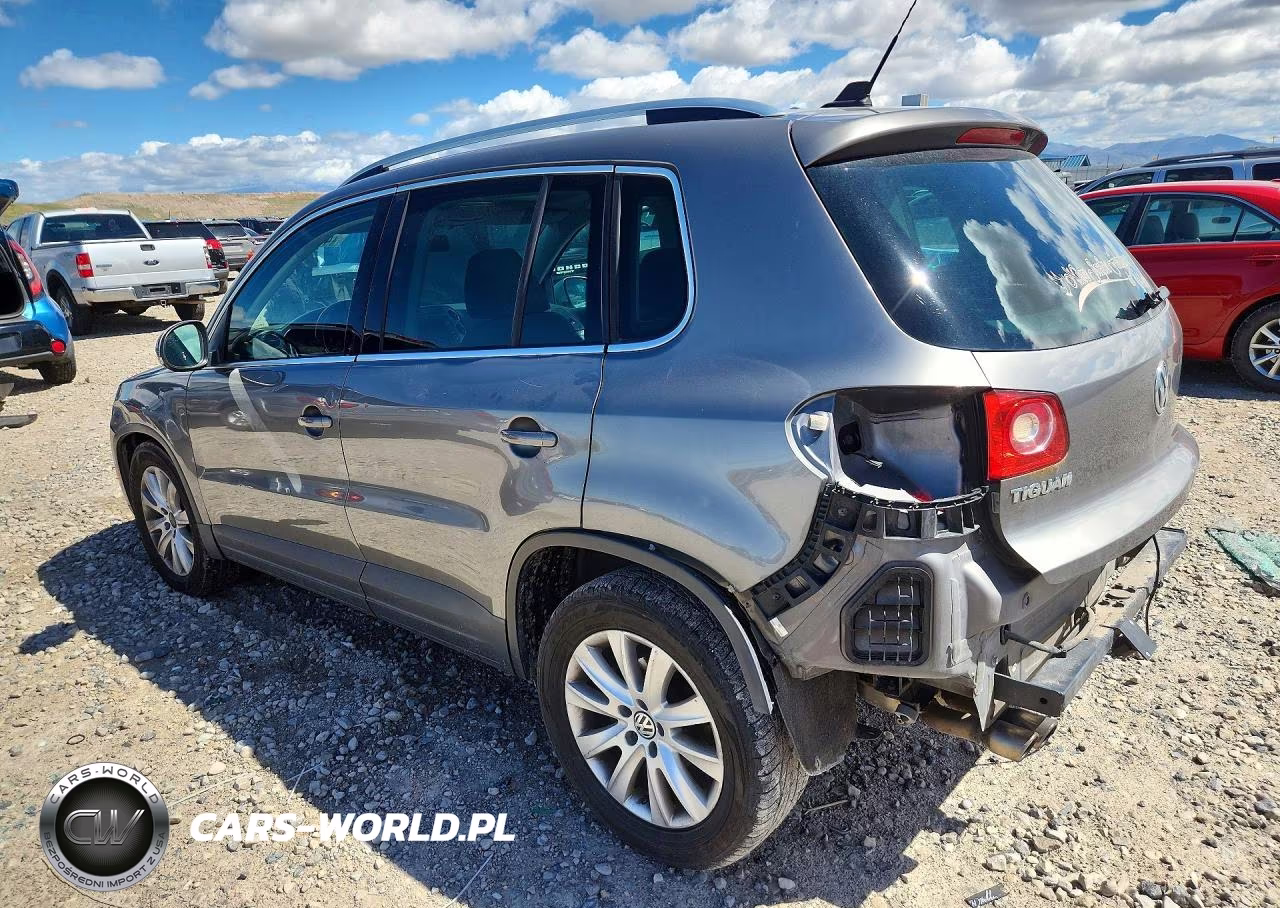 2009 Volkswagen Tiguan S VIN:WVGAV75N59W003582 - 2