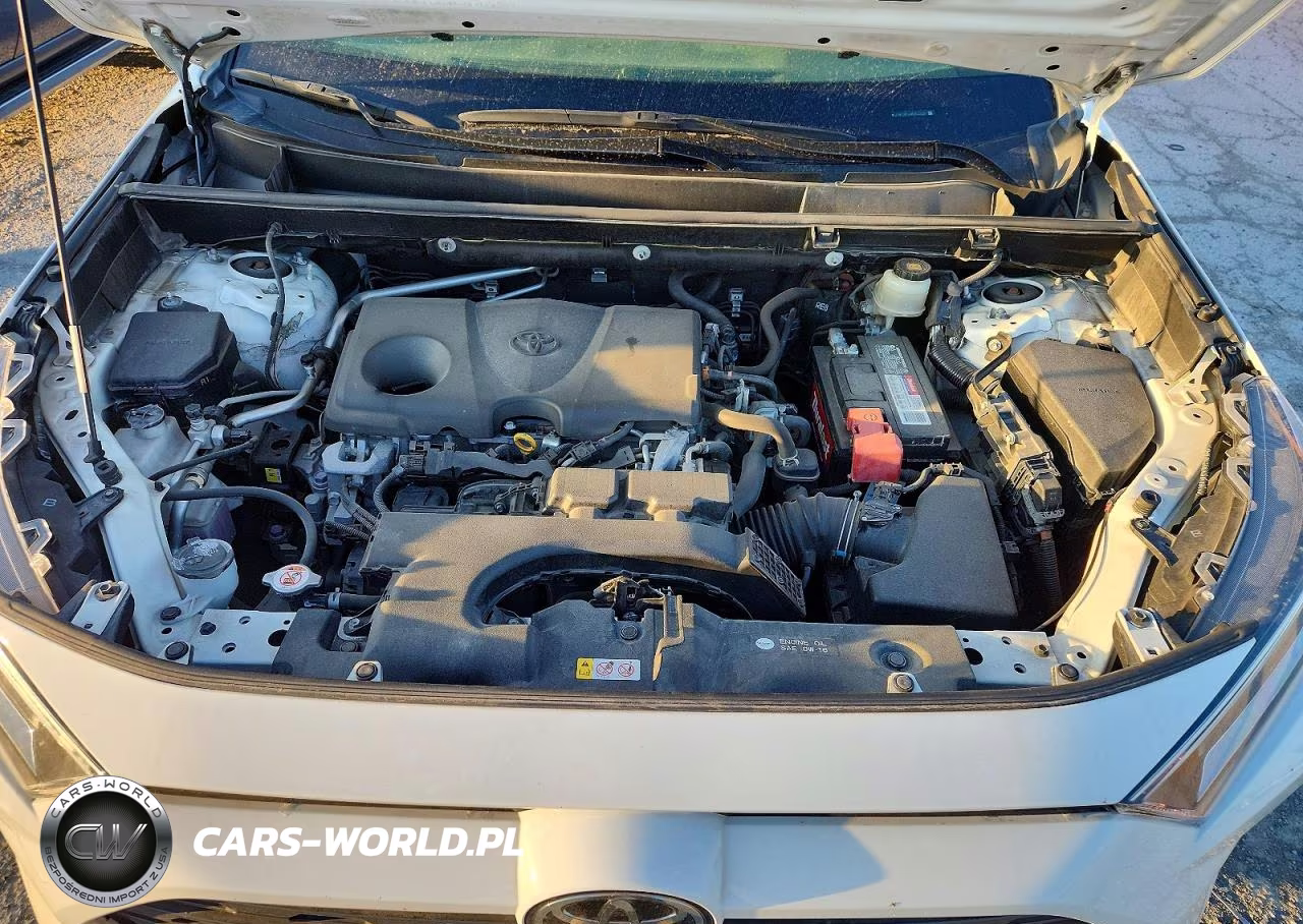2019 Toyota Rav4 Xle VIN:JTMP1RFVXKD522231 - 12
