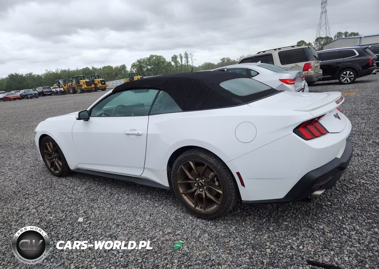 2024 Ford Mustang VIN:1FAGP8UH6R5119492 - 2