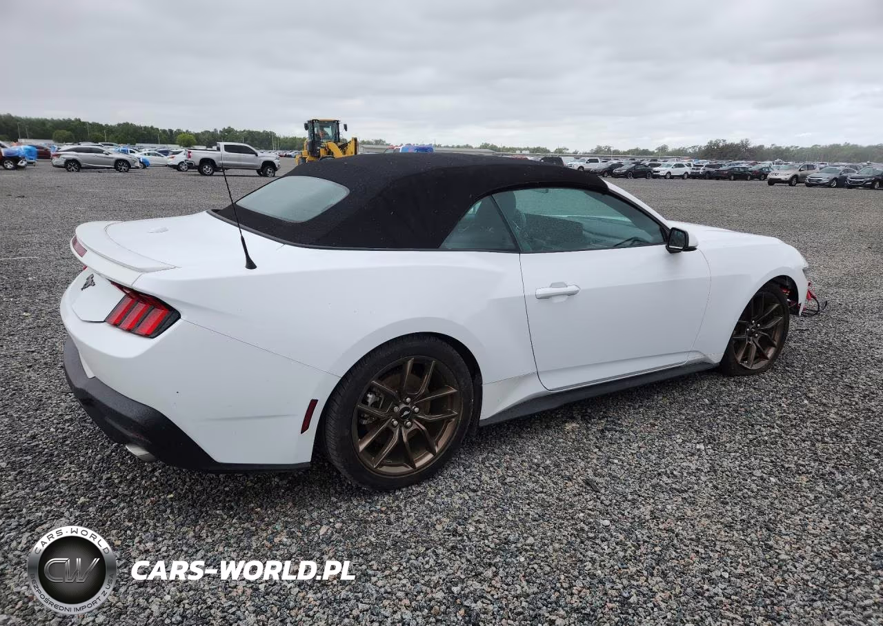 2024 Ford Mustang VIN:1FAGP8UH6R5119492 - 3