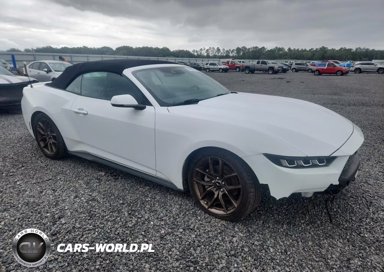 2024 Ford Mustang VIN:1FAGP8UH6R5119492 - 4