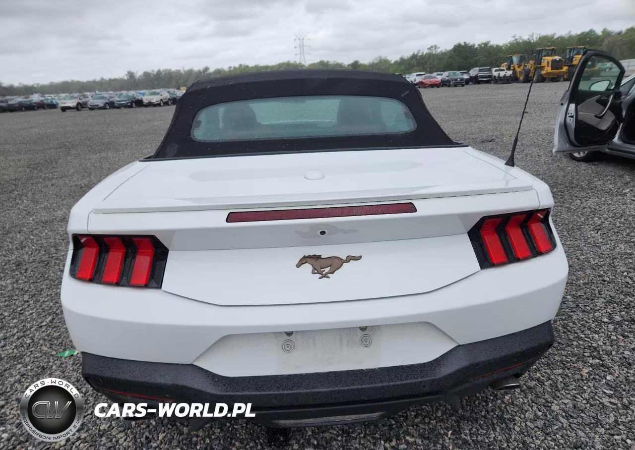 2024 Ford Mustang VIN:1FAGP8UH6R5119492 - 6