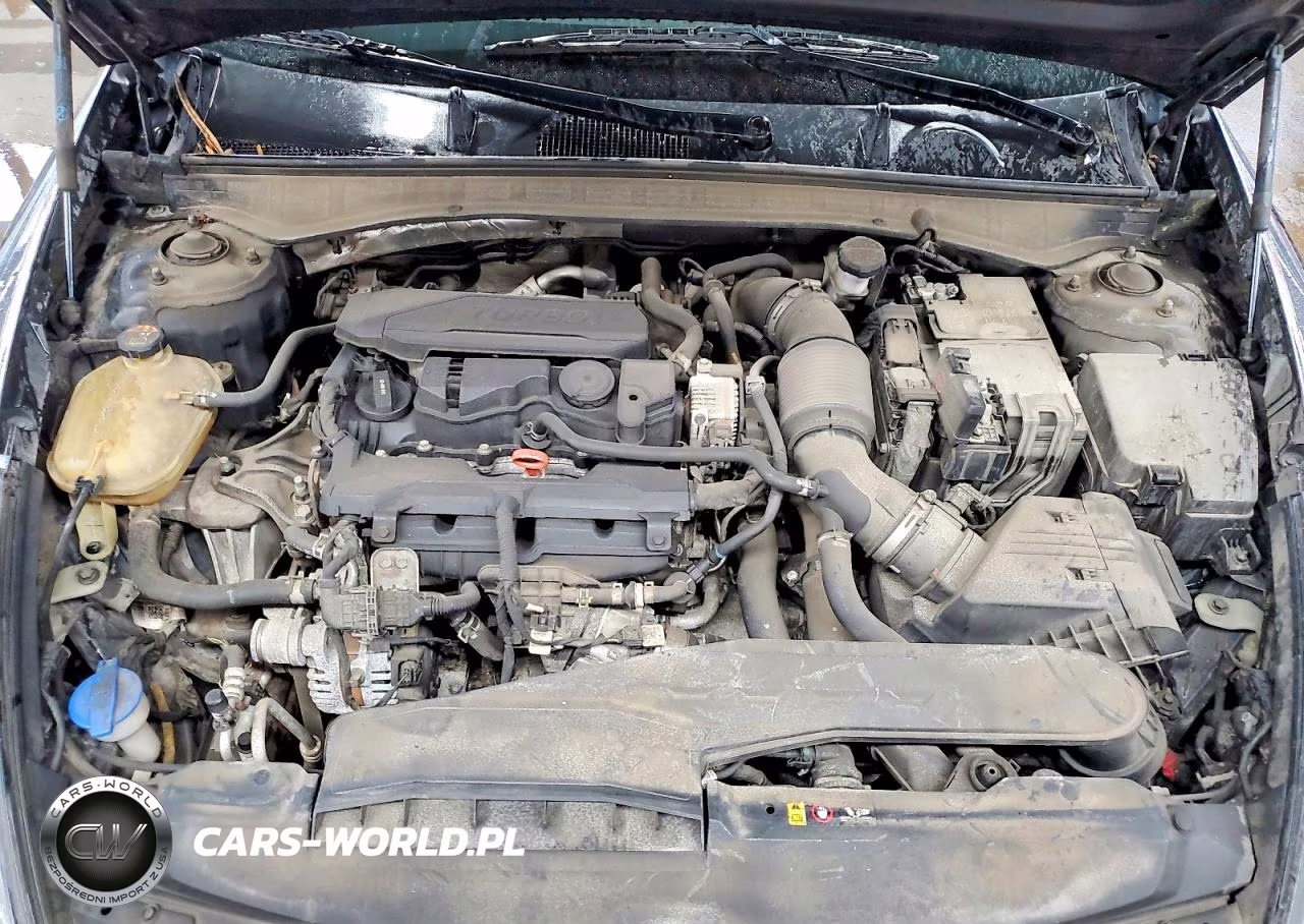 2021 Hyundai Sonata Limited VIN:5NPEH4J25MH123582 - 11