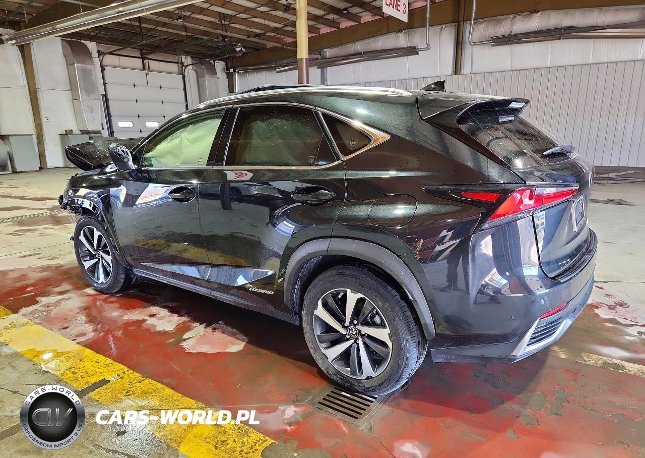 2021 Lexus Nx 300H Base VIN:JTJGJRDZ6M2164398 - 2
