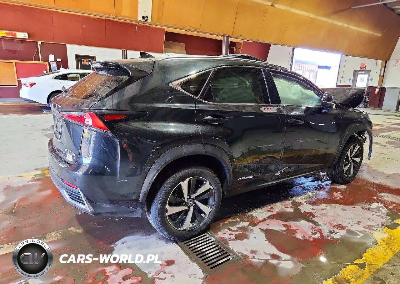 2021 Lexus Nx 300H Base VIN:JTJGJRDZ6M2164398 - 3