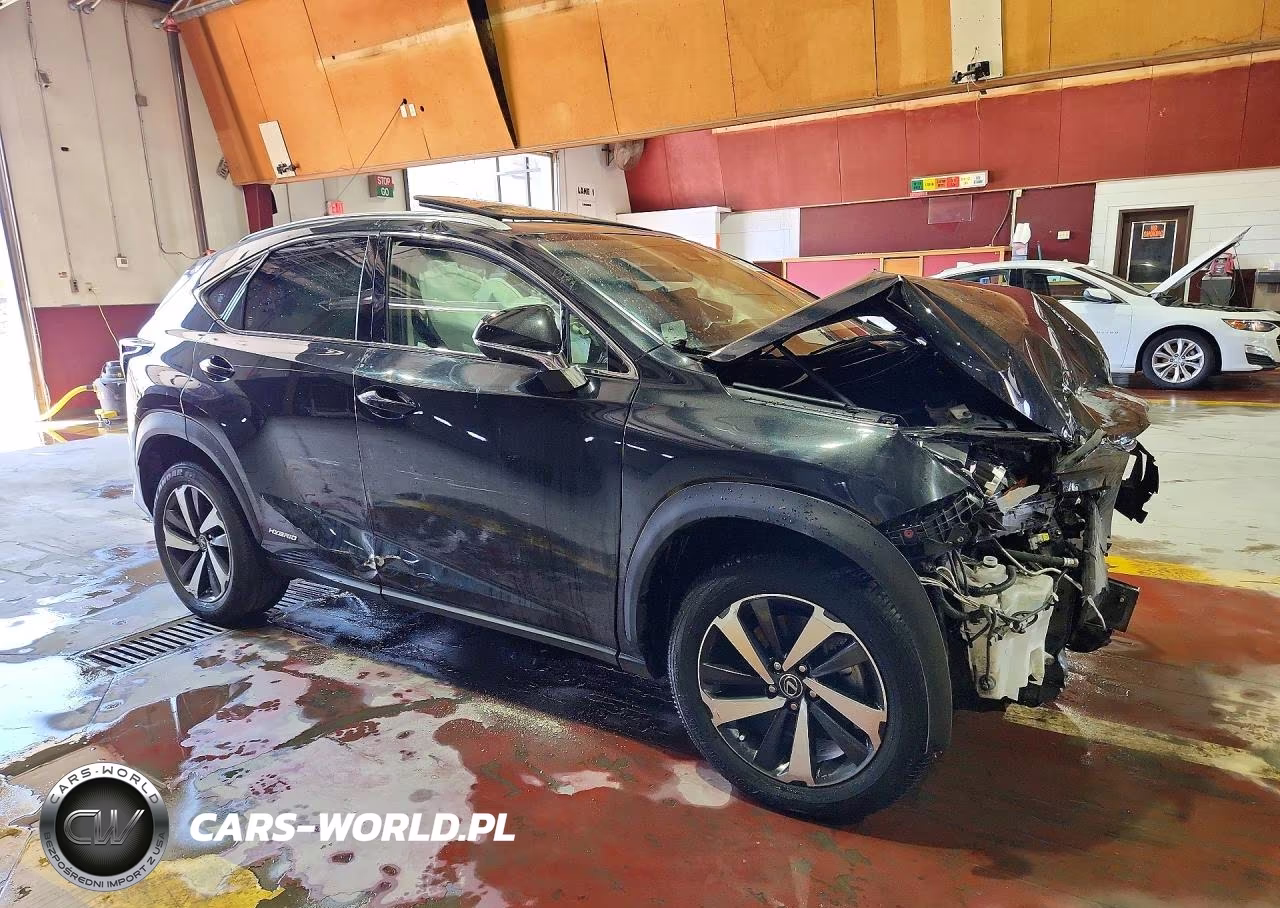 2021 Lexus Nx 300H Base VIN:JTJGJRDZ6M2164398 - 4
