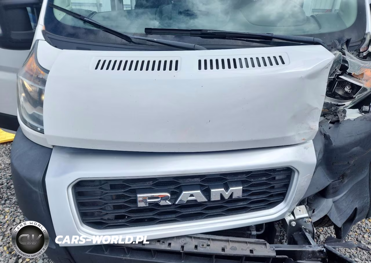 2020 Ram Promaster 2500 Delivery Van VIN:3C6TRVDG1LE133702 - 12