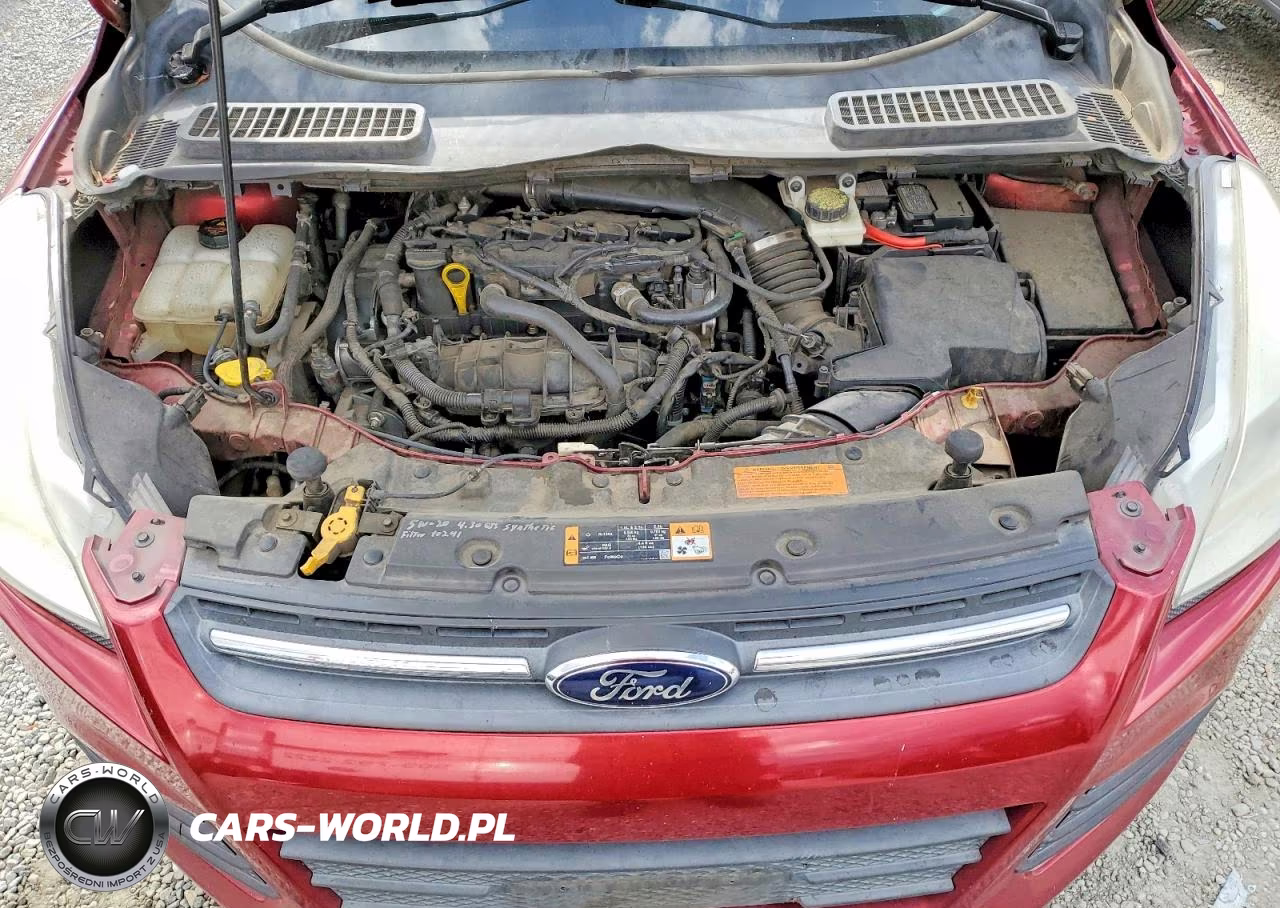 2014 Ford Escape Se VIN:1FMCU0GX6EUB69990 - 12