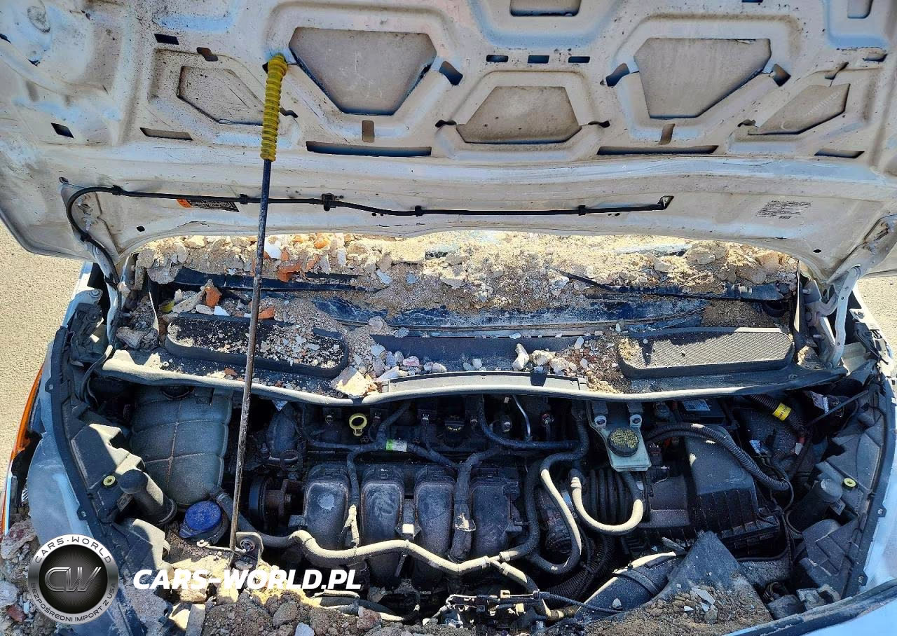 2019 Ford Transit Connect Xl Refrigerated Delivery Van VIN:NM0LS7E25K1426867 - 12
