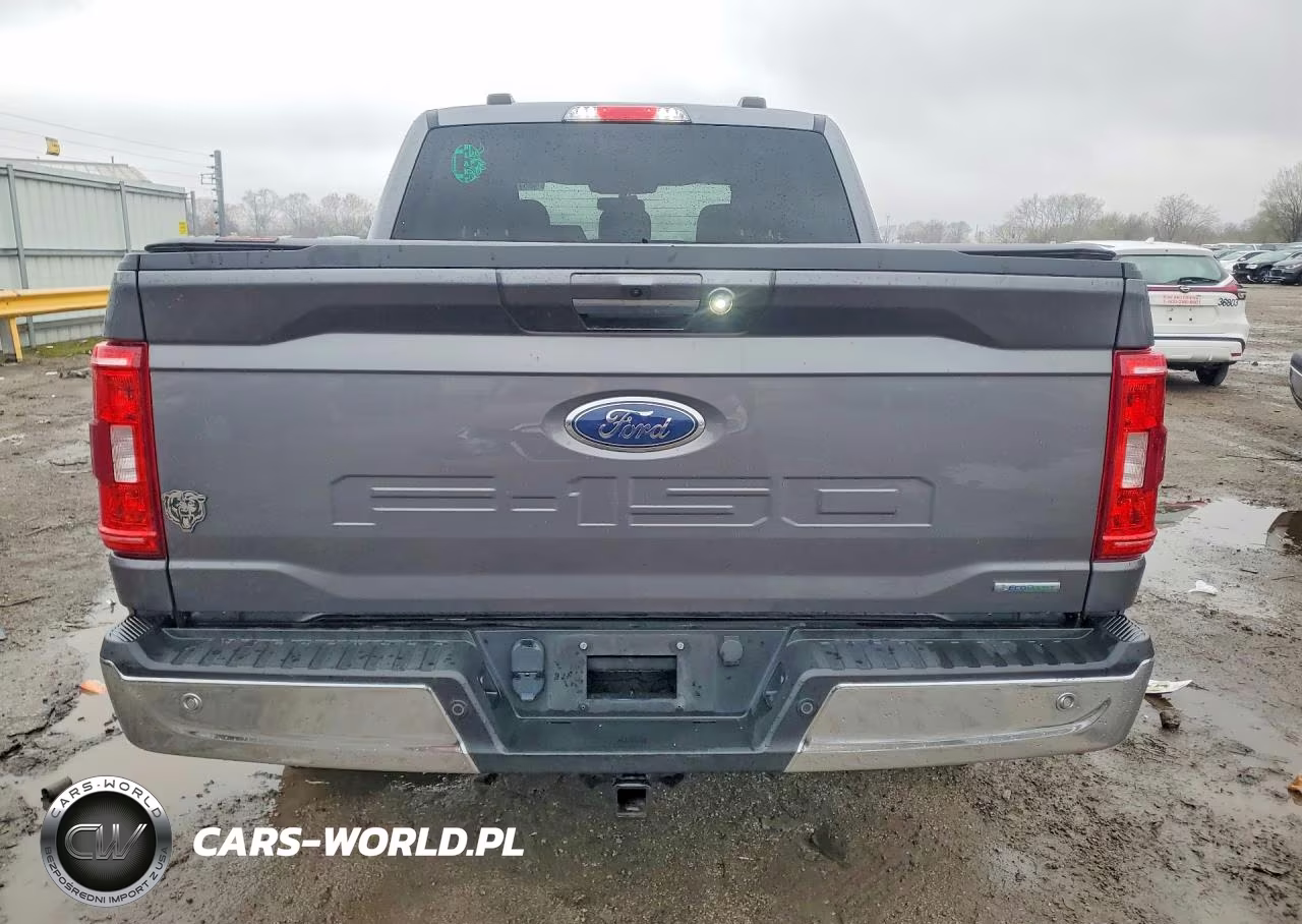 2021 Ford F150 2Wd VIN:1FTEW1EP4MFC01760 - 6
