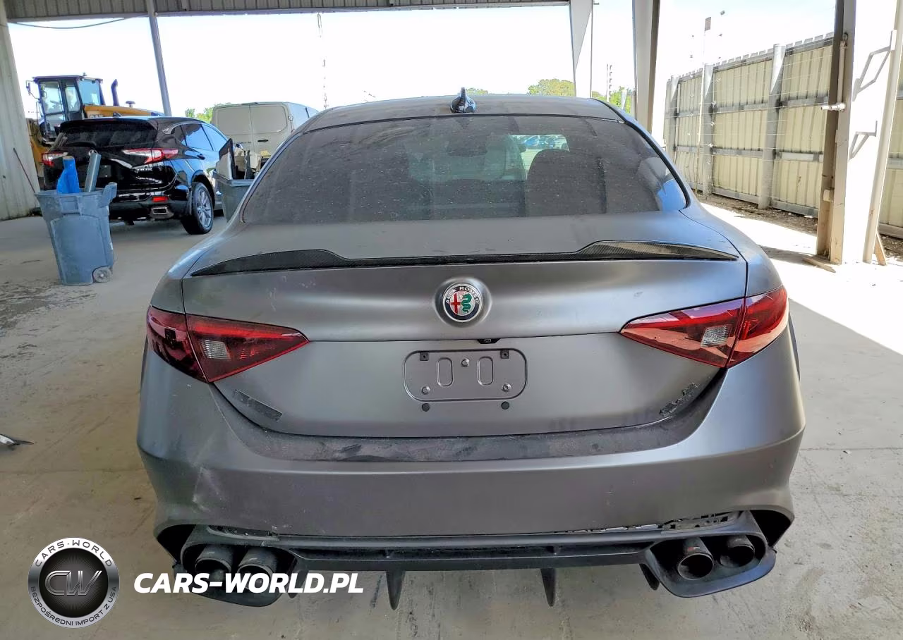 2019 Alfa Romeo Giulia Quadrifoglio Rwd VIN:ZARFAMEV4K7599861 - 6