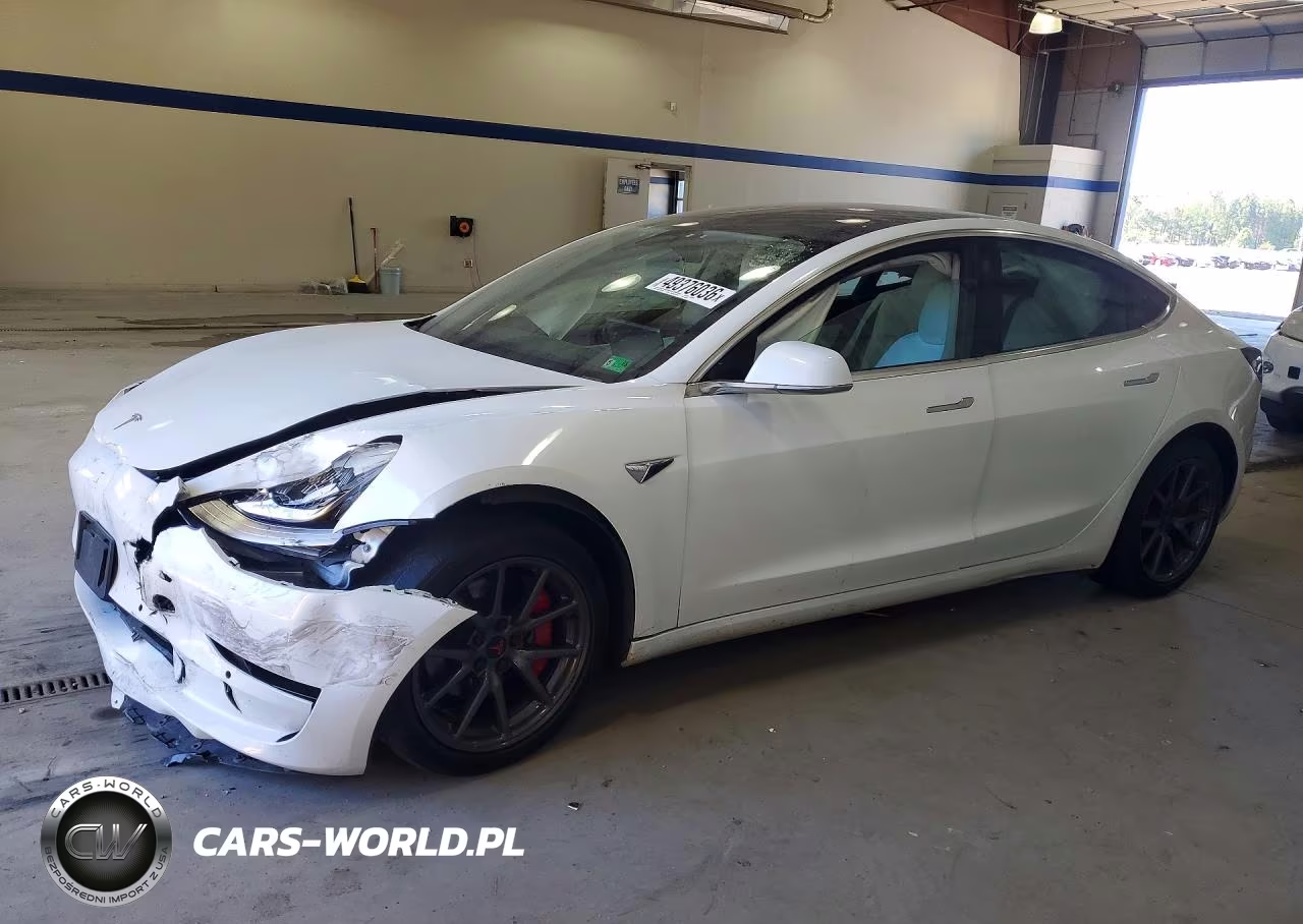 2019 Tesla Model 3