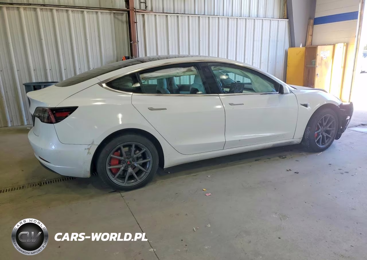 2019 Tesla Model 3 VIN:5YJ3E1EAXKF486262 - 3