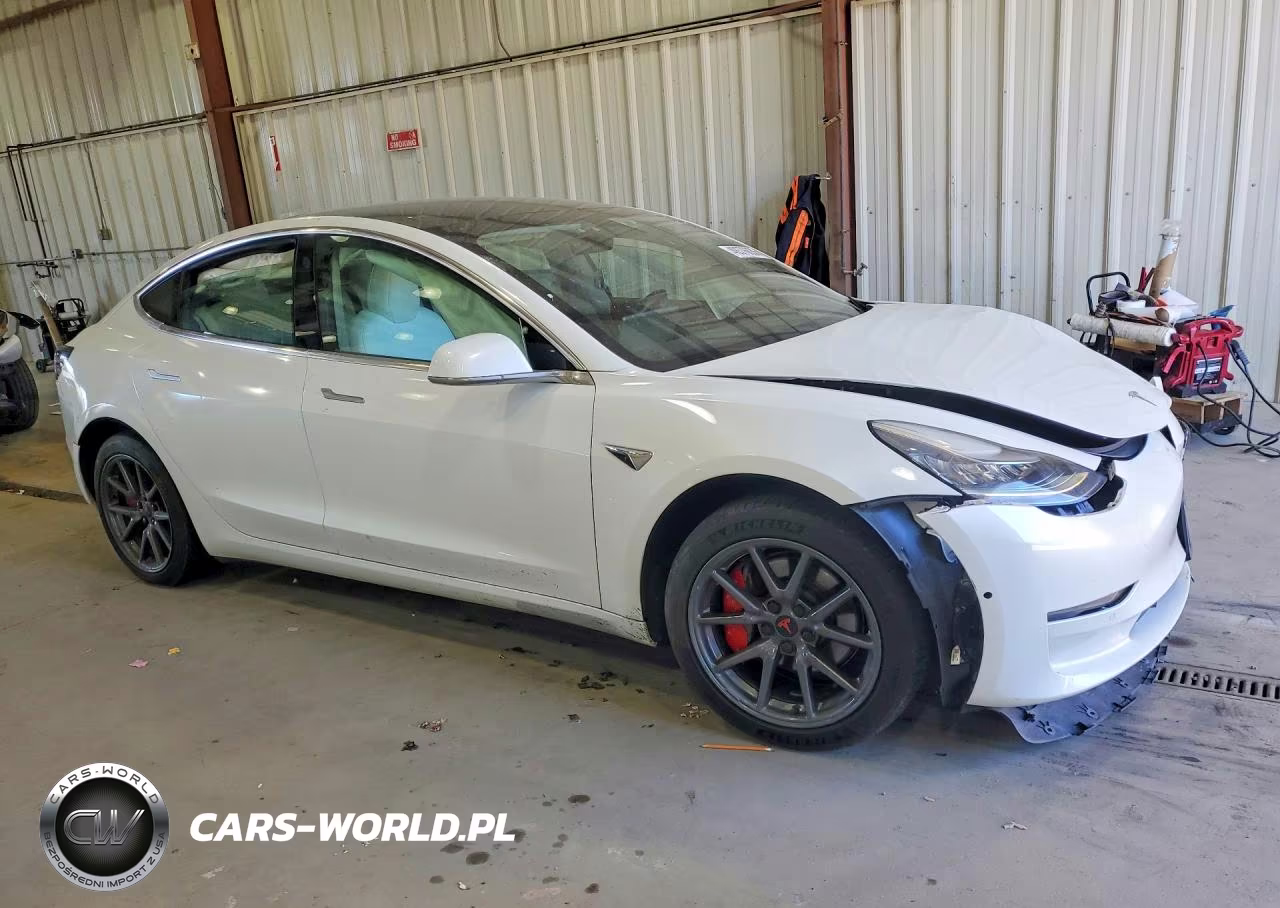 2019 Tesla Model 3 VIN:5YJ3E1EAXKF486262 - 4