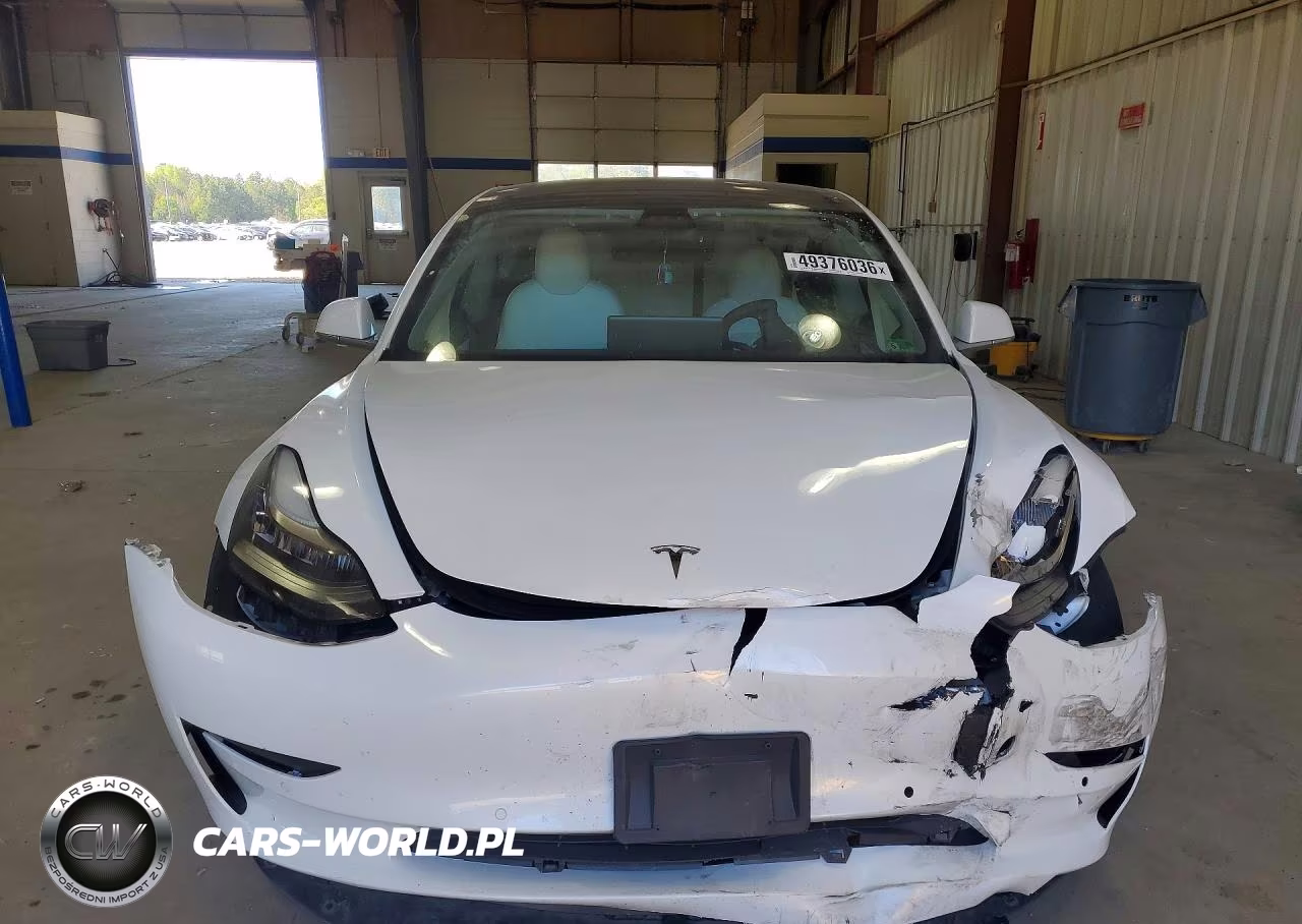 2019 Tesla Model 3 VIN:5YJ3E1EAXKF486262 - 5