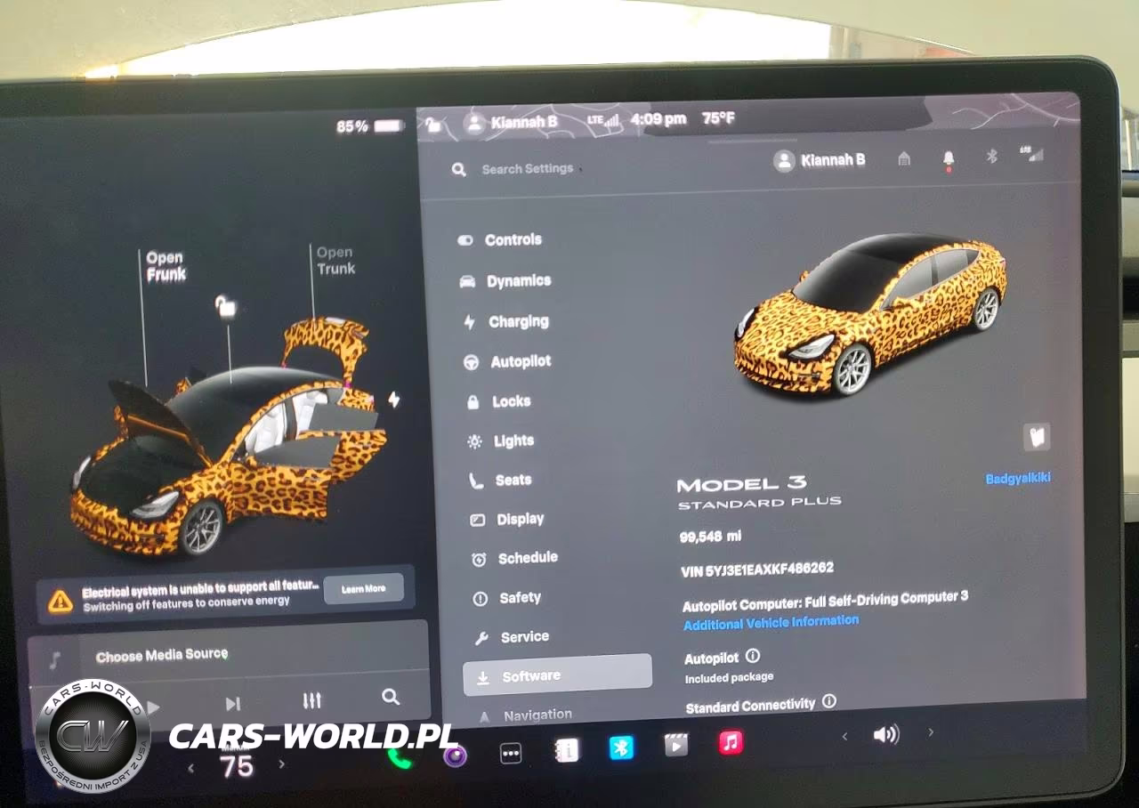 2019 Tesla Model 3 VIN:5YJ3E1EAXKF486262 - 9