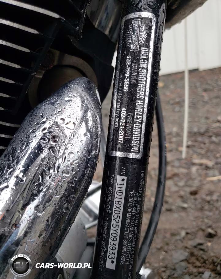 2005 Harley-Davidson Flstfi VIN:1HD1BXD525Y093933 - 10