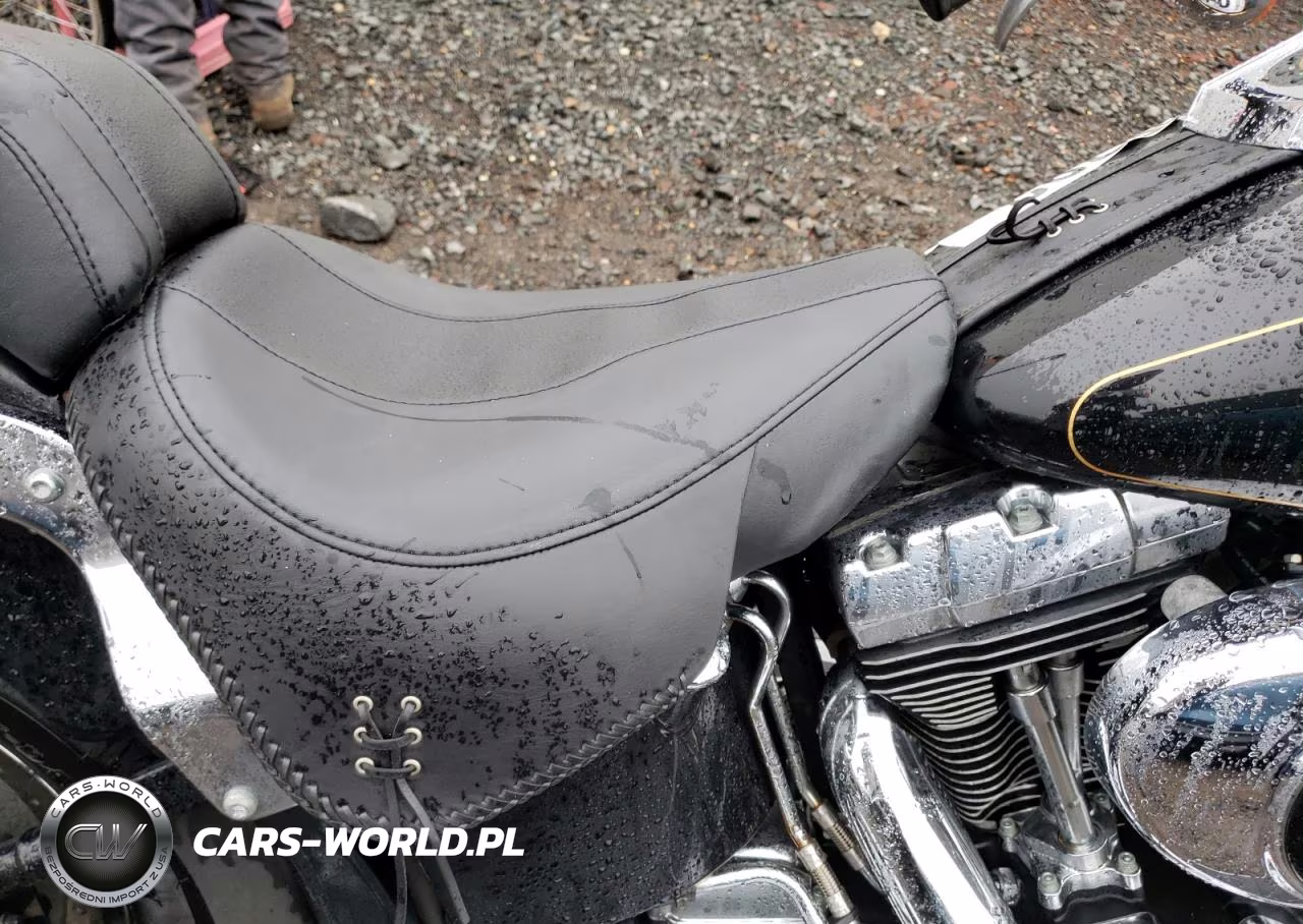 2005 Harley-Davidson Flstfi VIN:1HD1BXD525Y093933 - 5