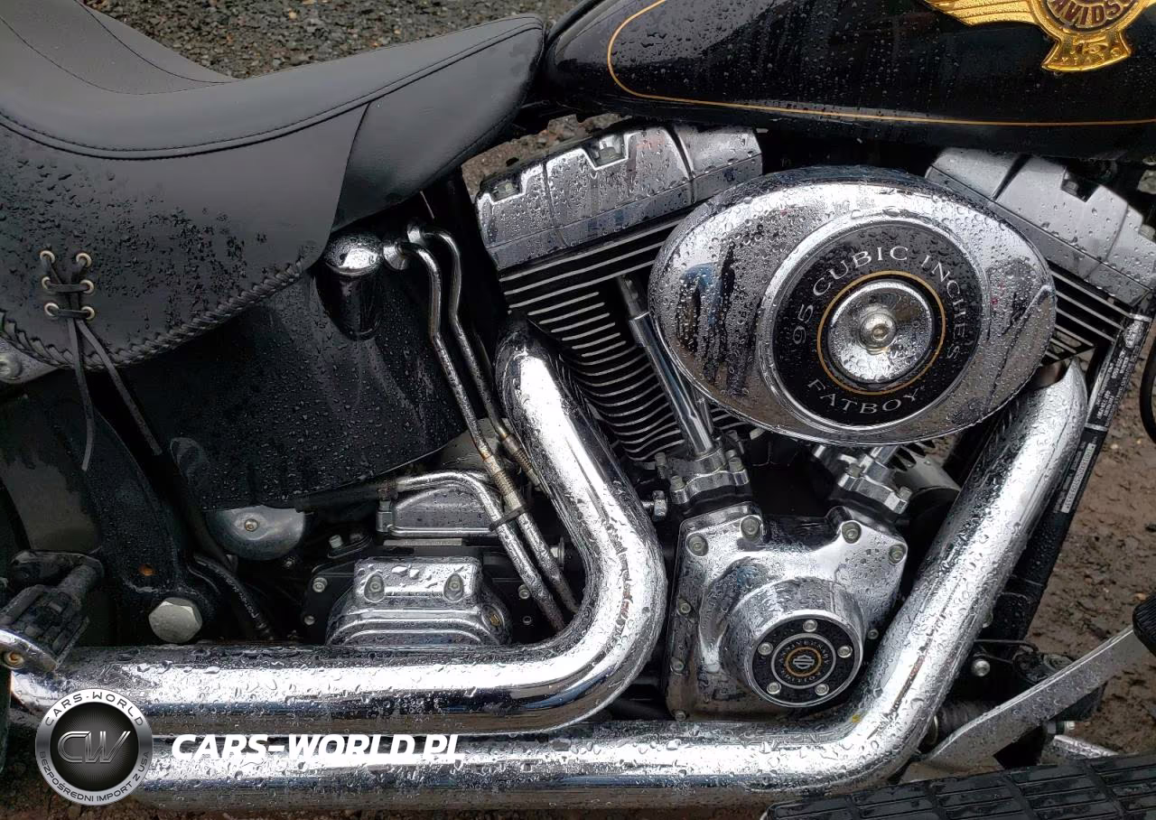 2005 Harley-Davidson Flstfi VIN:1HD1BXD525Y093933 - 7