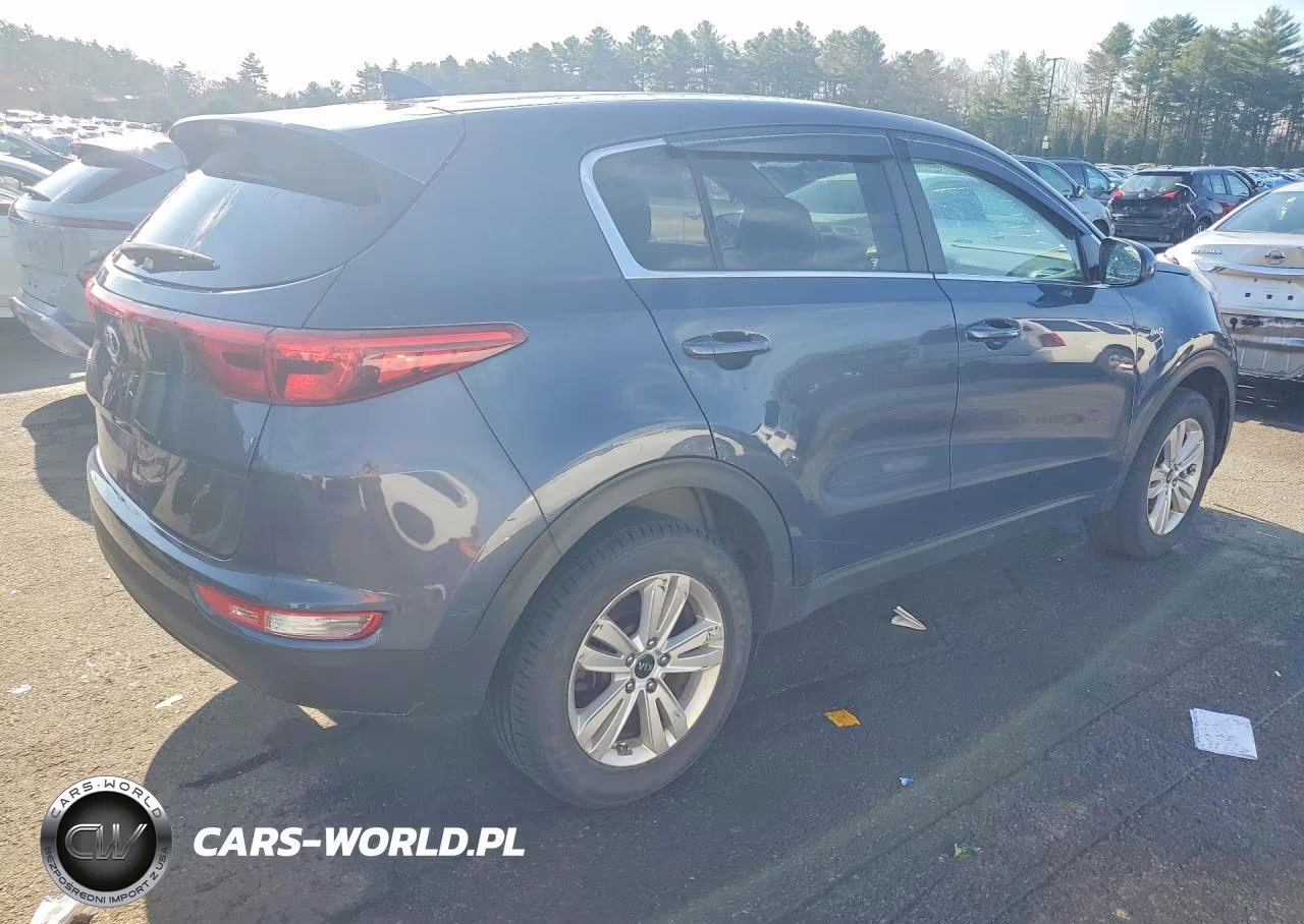 2019 Kia Sportage Lx VIN:KNDPMCAC9K7598483 - 3