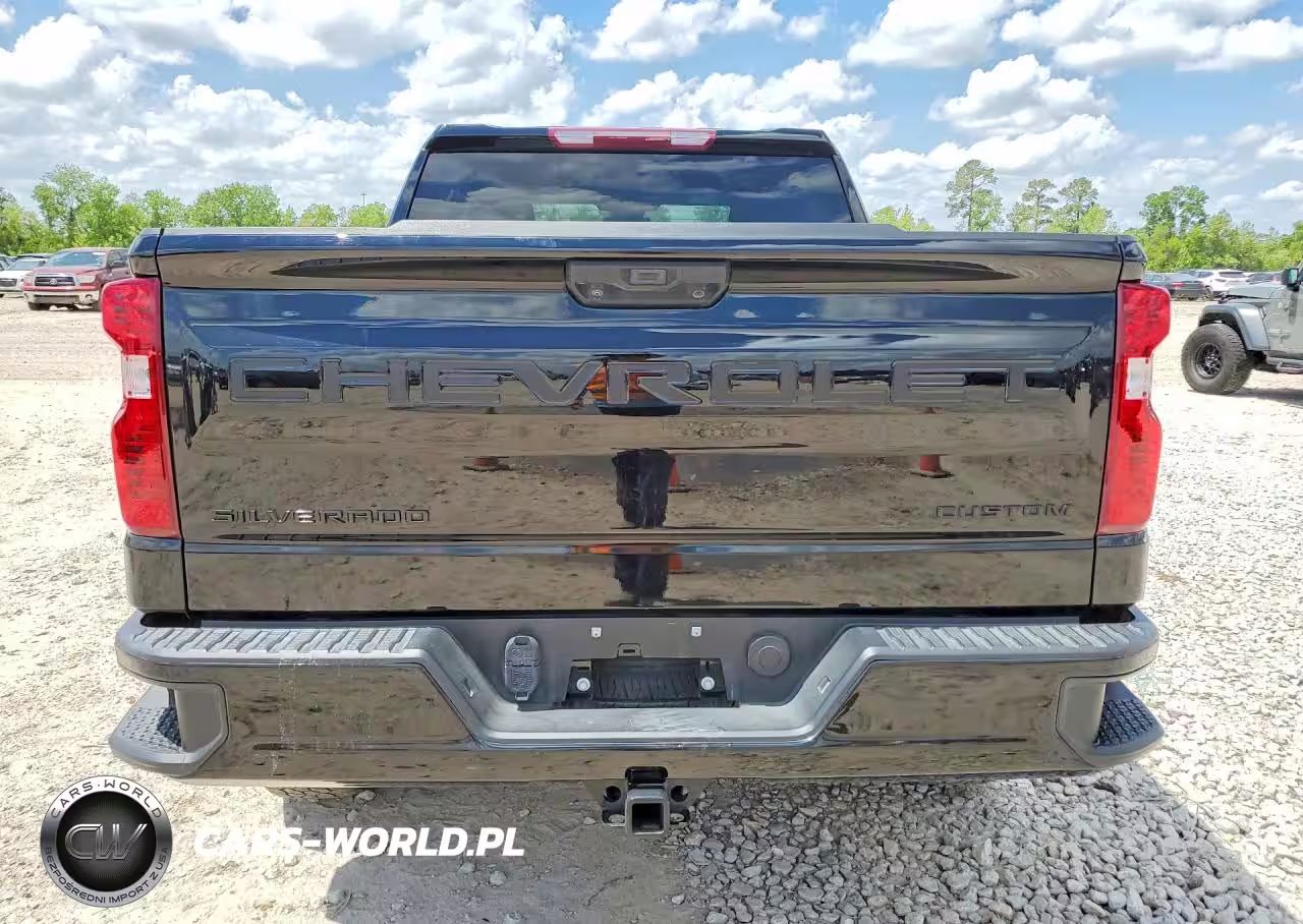 2024 Chevrolet Silverado 1500 VIN:1GCPABEKXRZ140650 - 6