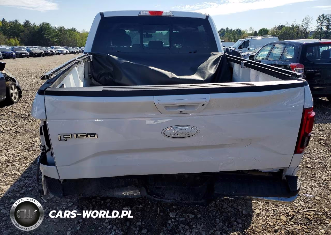 2017 Ford F150 Supercrew VIN:1FTEW1EP3HFC82837 - 6