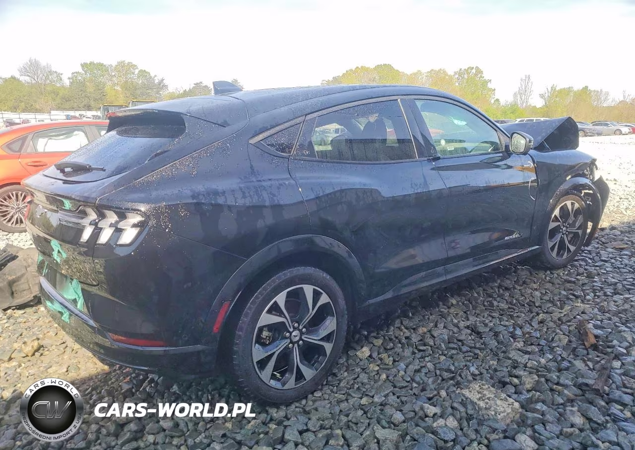 2023 Ford Mustang Mach-E Premium VIN:3FMTK3SU9PMB05695 - 3