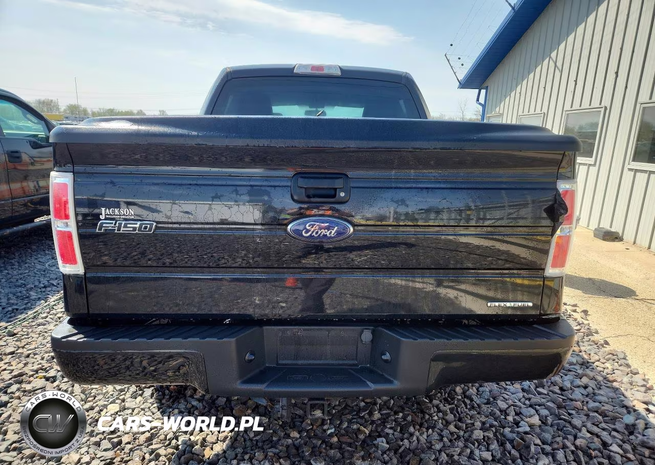 2014 Ford F150 Supercrew VIN:1FTFW1EF5EFA36962 - 6