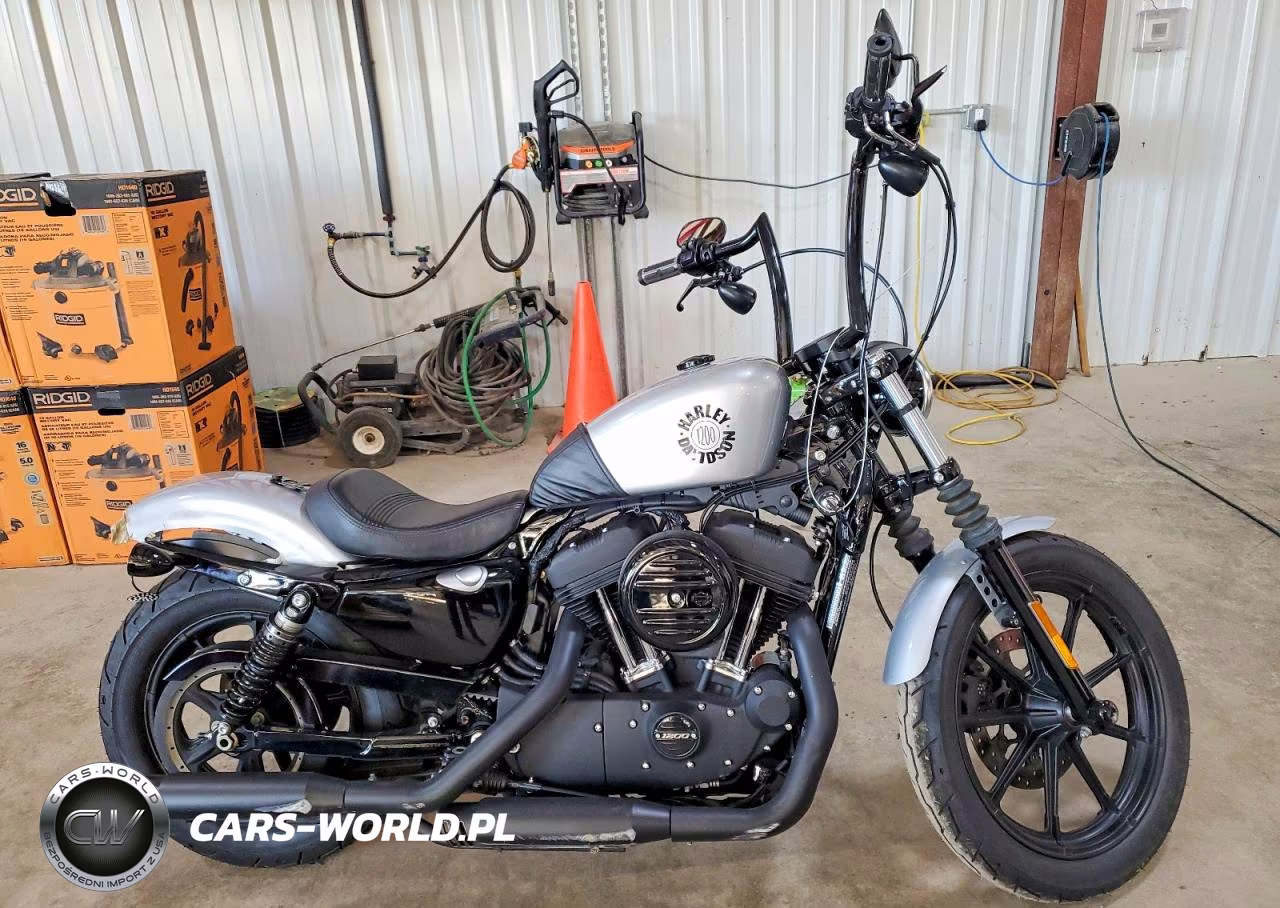 2020 Harley-Davidson Xl1200 Ns