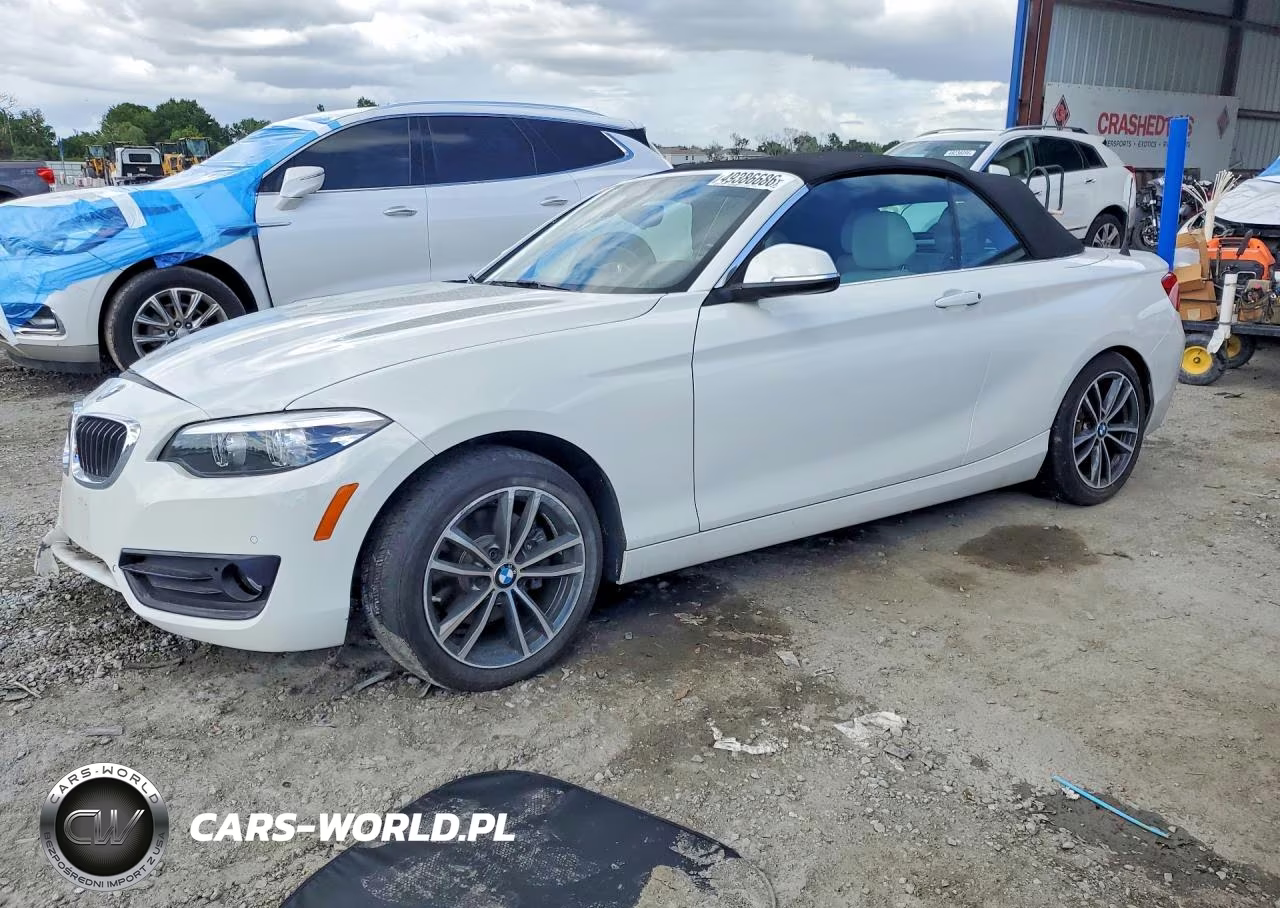 2019 BMW 230I