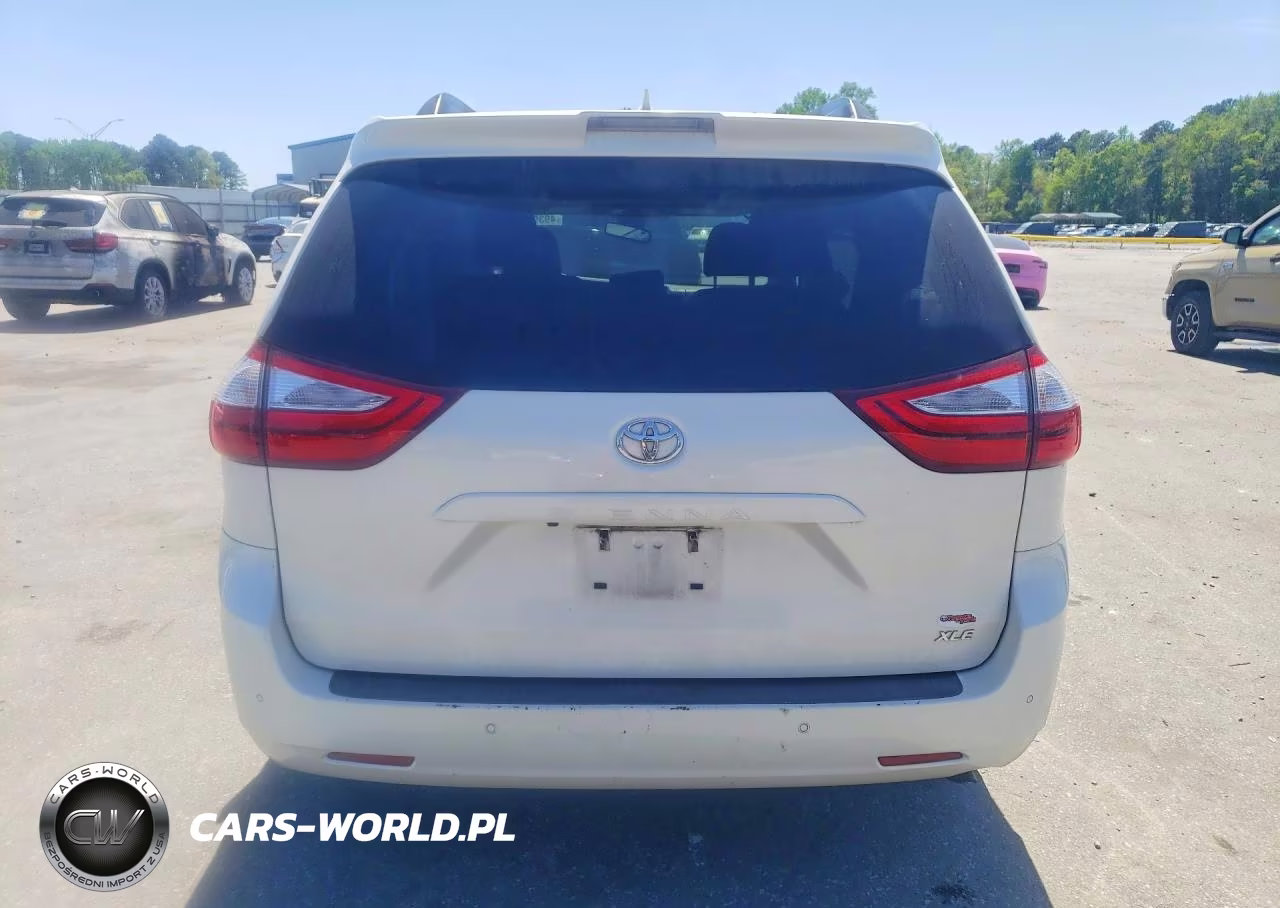 2018 Toyota Sienna Xle 8-Passenger VIN:5TDYZ3DC5JS918923 - 6