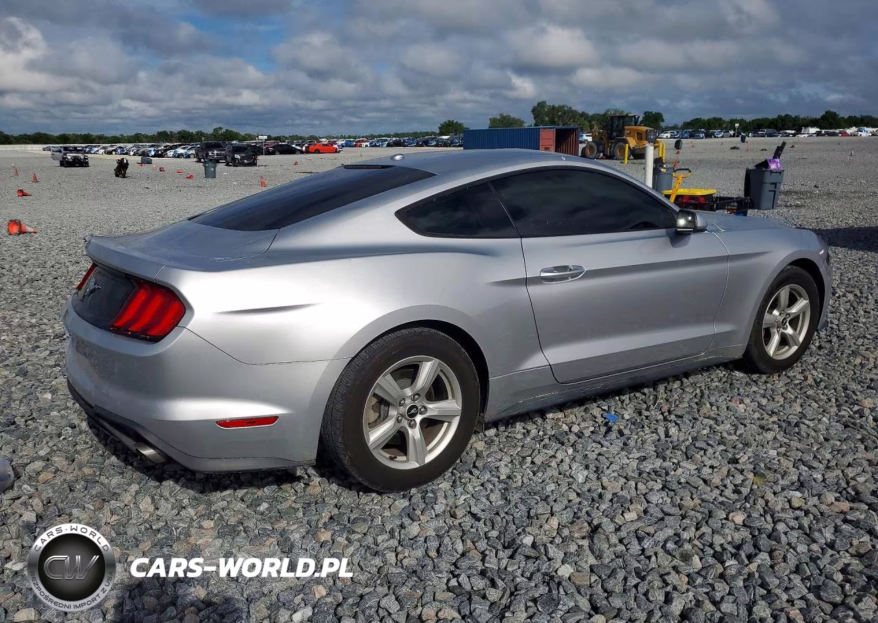 2019 Ford Mustang VIN:1FA6P8TH1K5142150 - 3