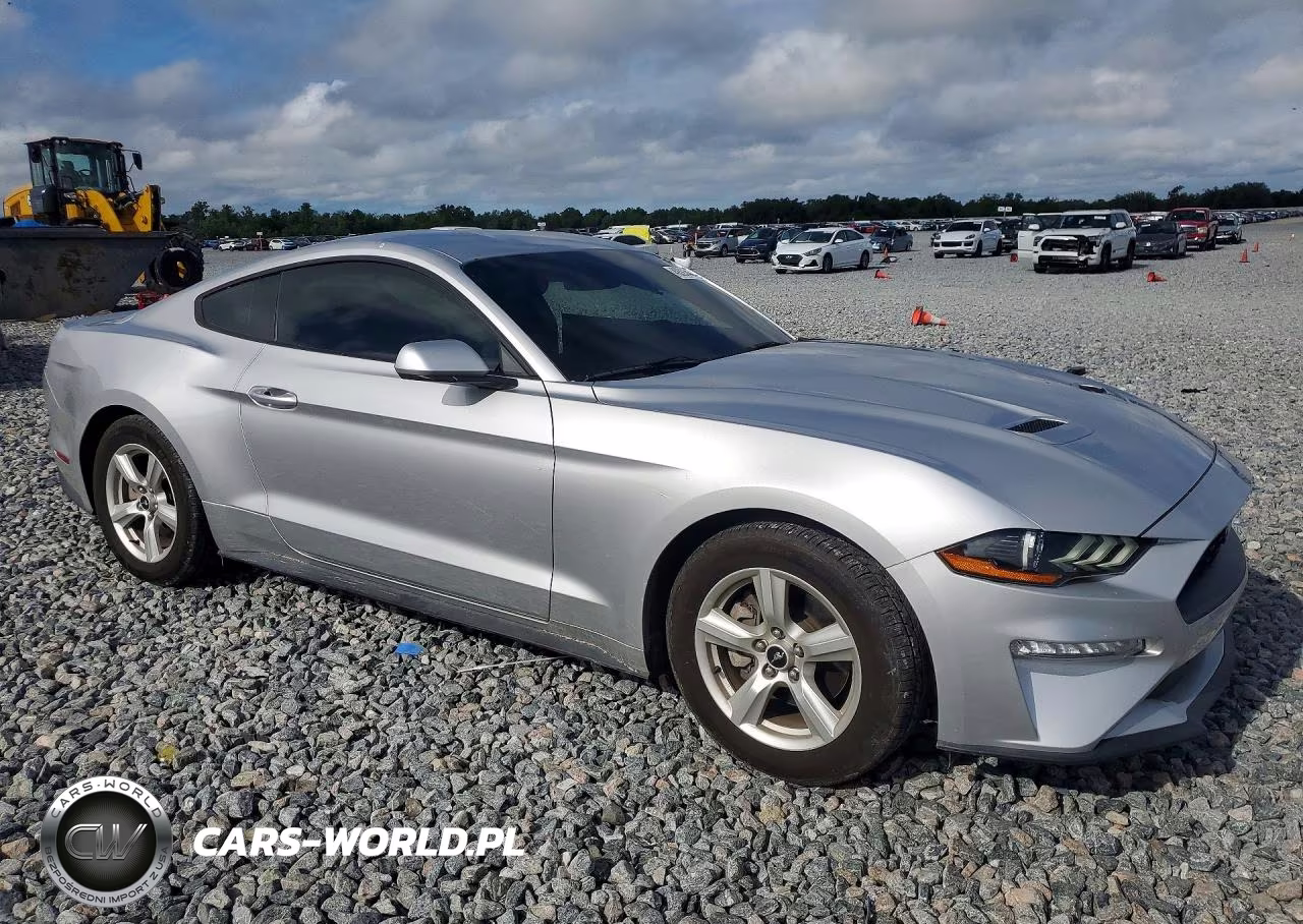 2019 Ford Mustang VIN:1FA6P8TH1K5142150 - 4