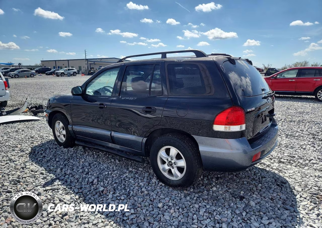 2005 Hyundai Santa Fe Gls VIN:KM8SC13E95U878714 - 2
