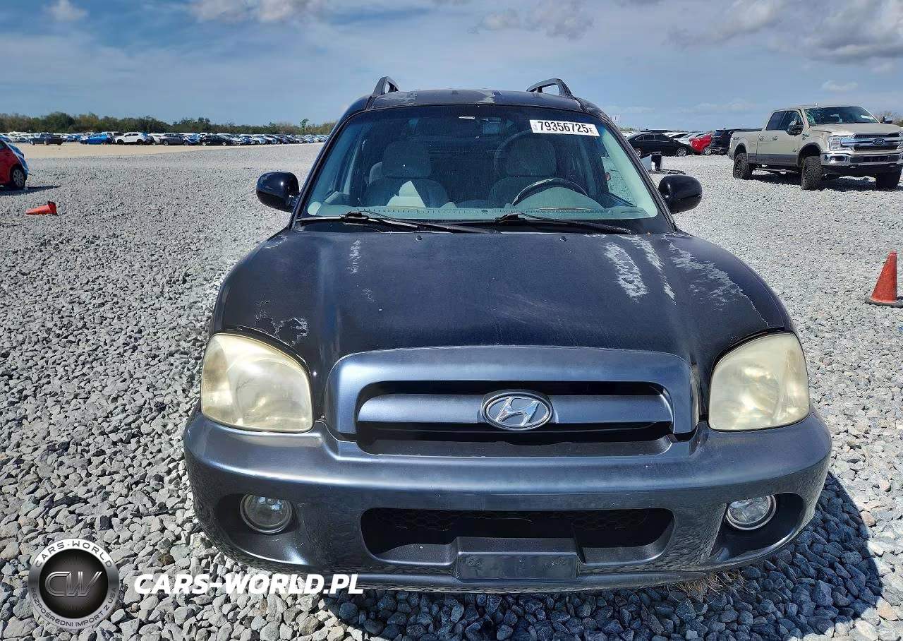 2005 Hyundai Santa Fe Gls VIN:KM8SC13E95U878714 - 5