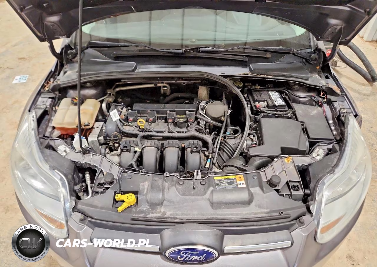2013 Ford Focus Se VIN:1FADP3K29DL380821 - 11